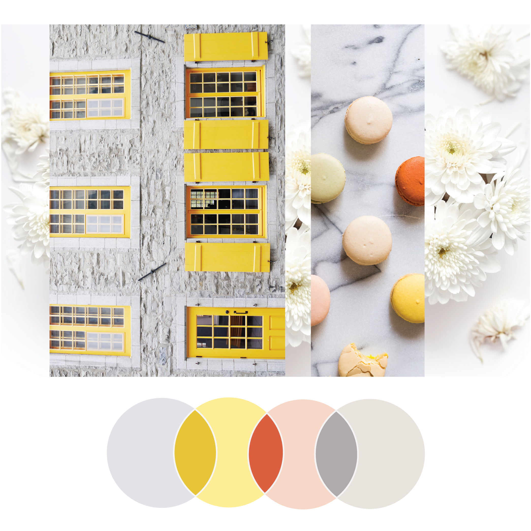 Fresh Palette 37 | Seed Design Consultancy
