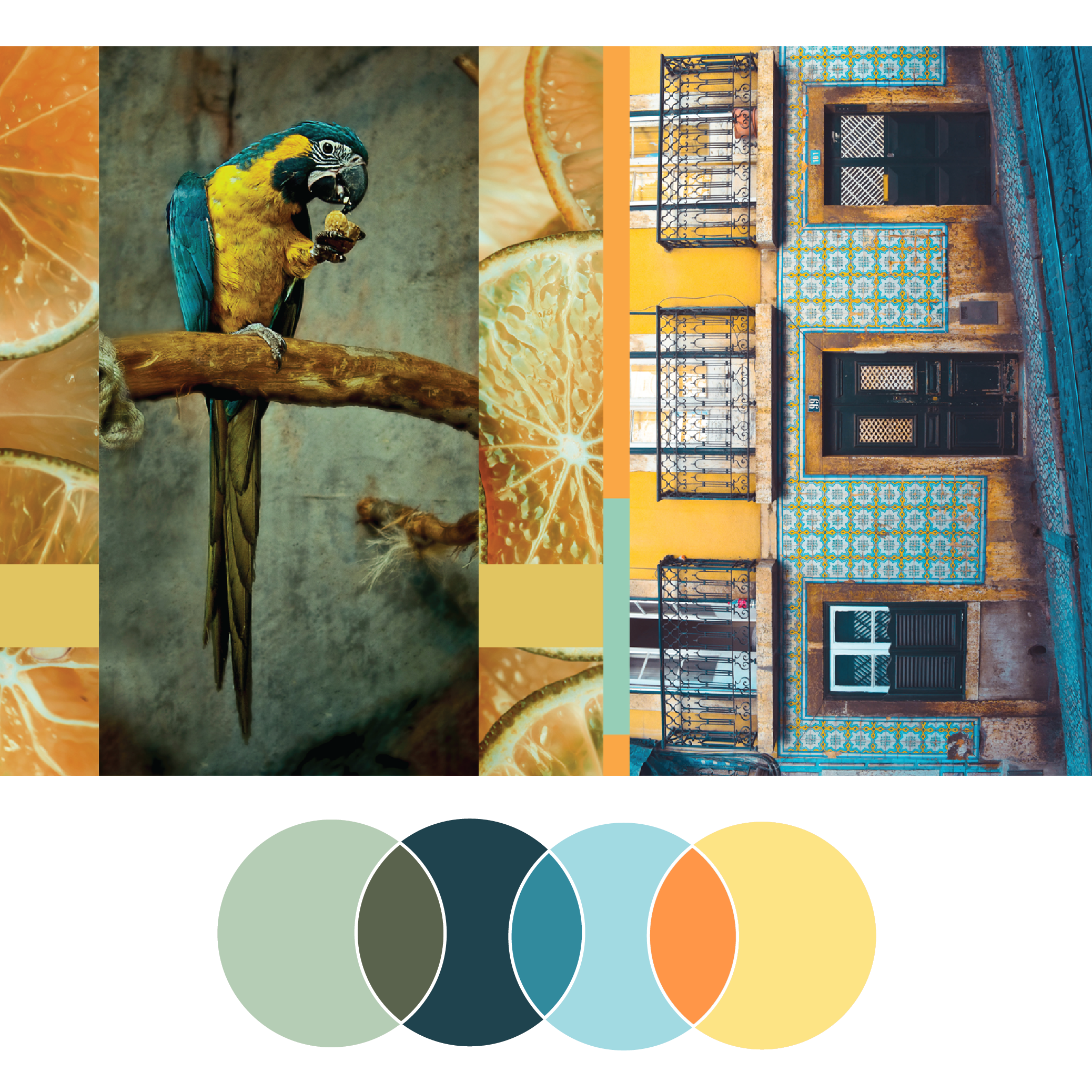 Fresh Palette 34 | Seed Design Consultancy