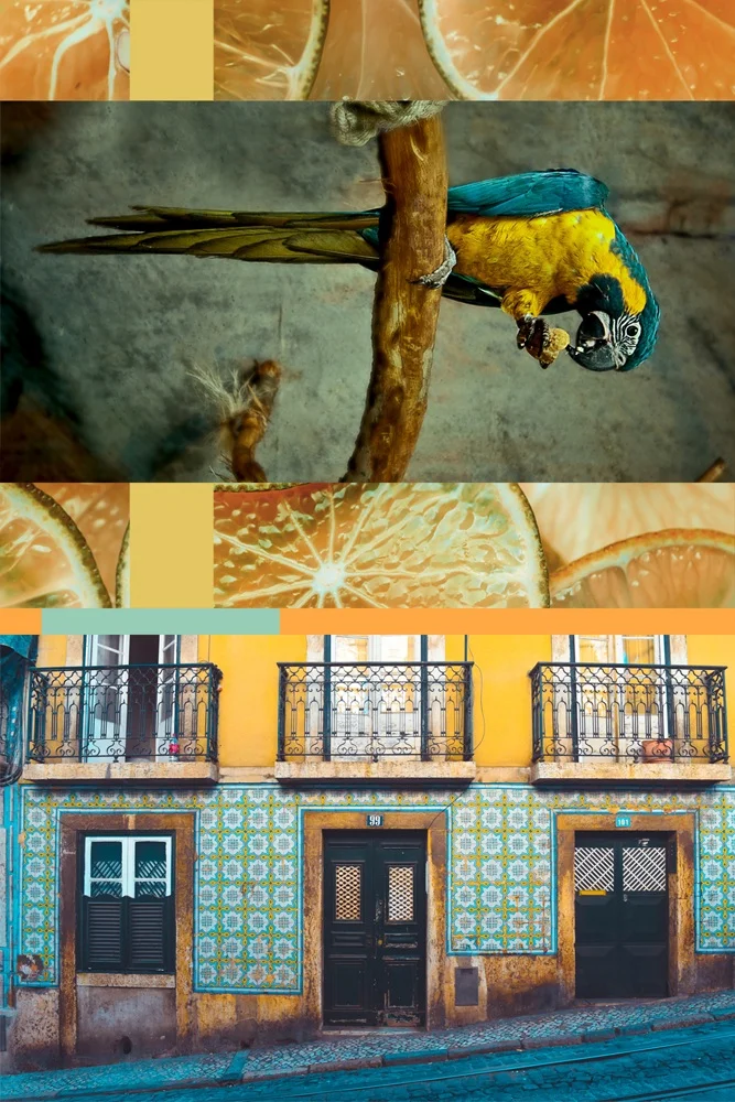 Fresh Moodboard 34 | Seed Design Consultancy