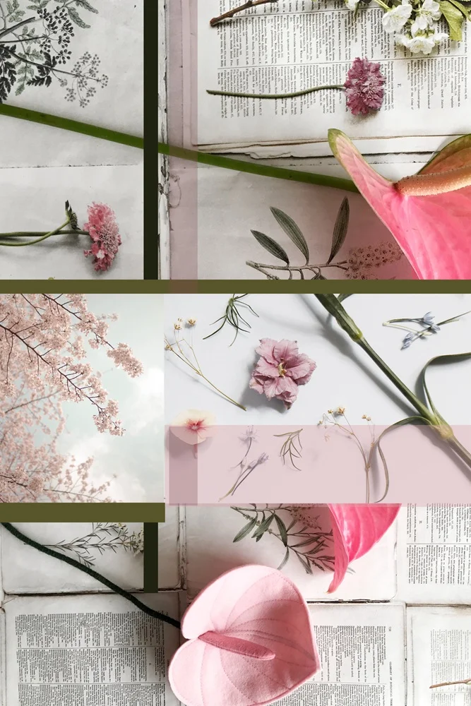 Fresh Moodboard 36 | Seed Design Consultancy