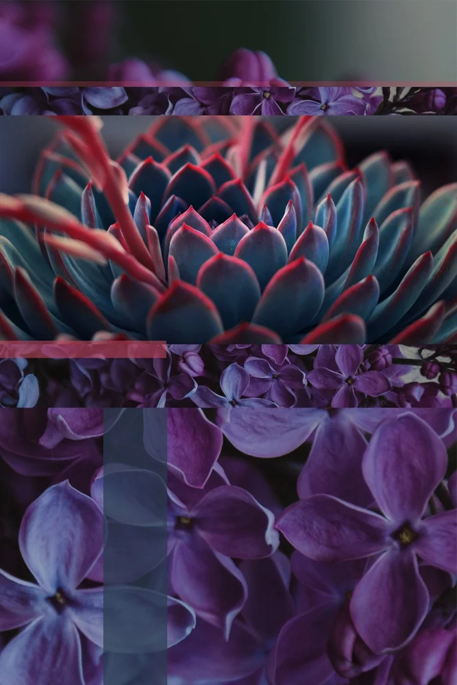 Fresh Moodboard 37 | Seed Design Consultancy