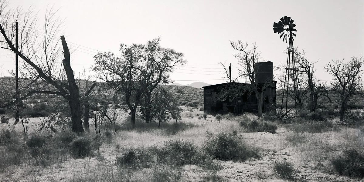 Homestead