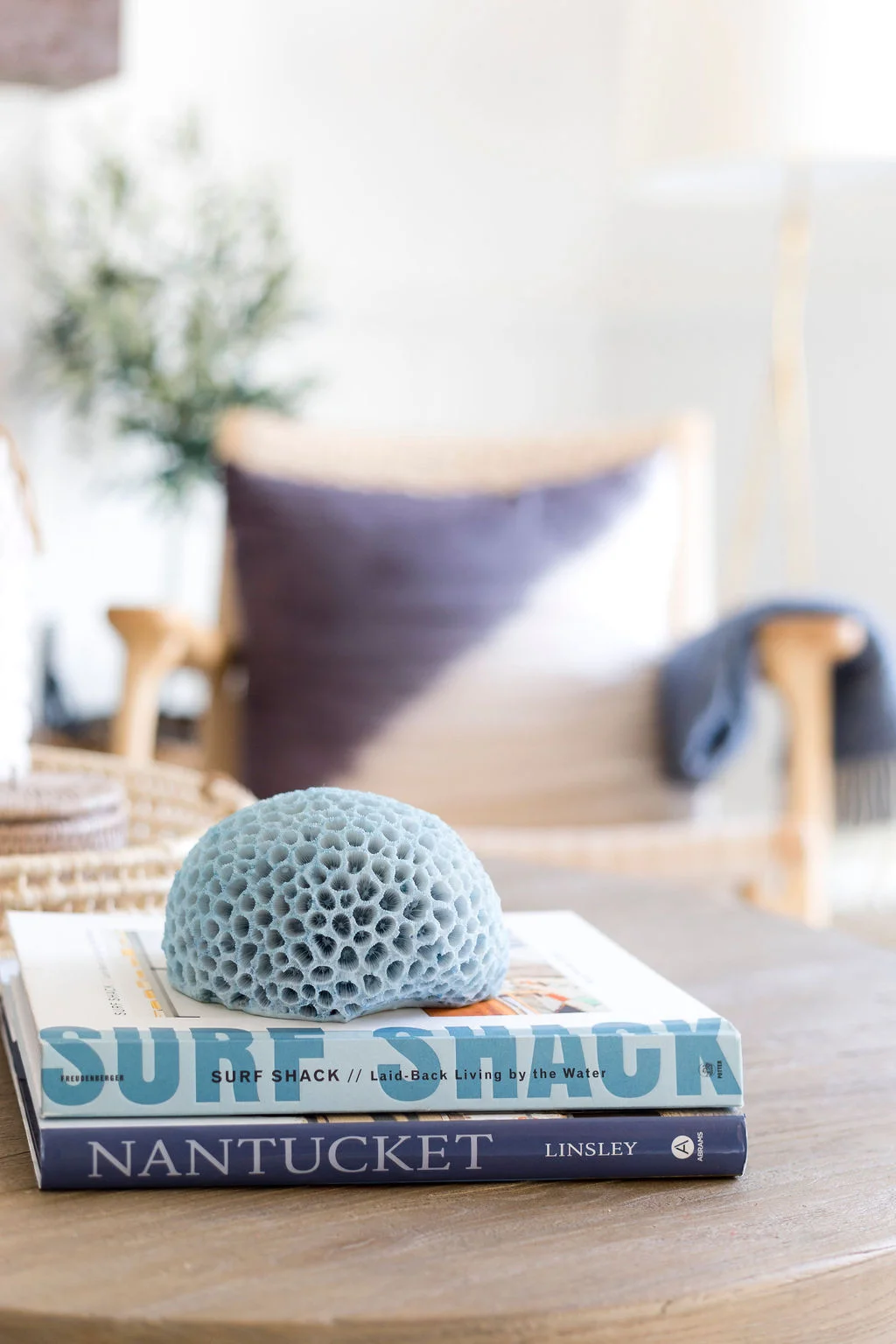 SashaNorth-ClaussInteriors-16.jpg