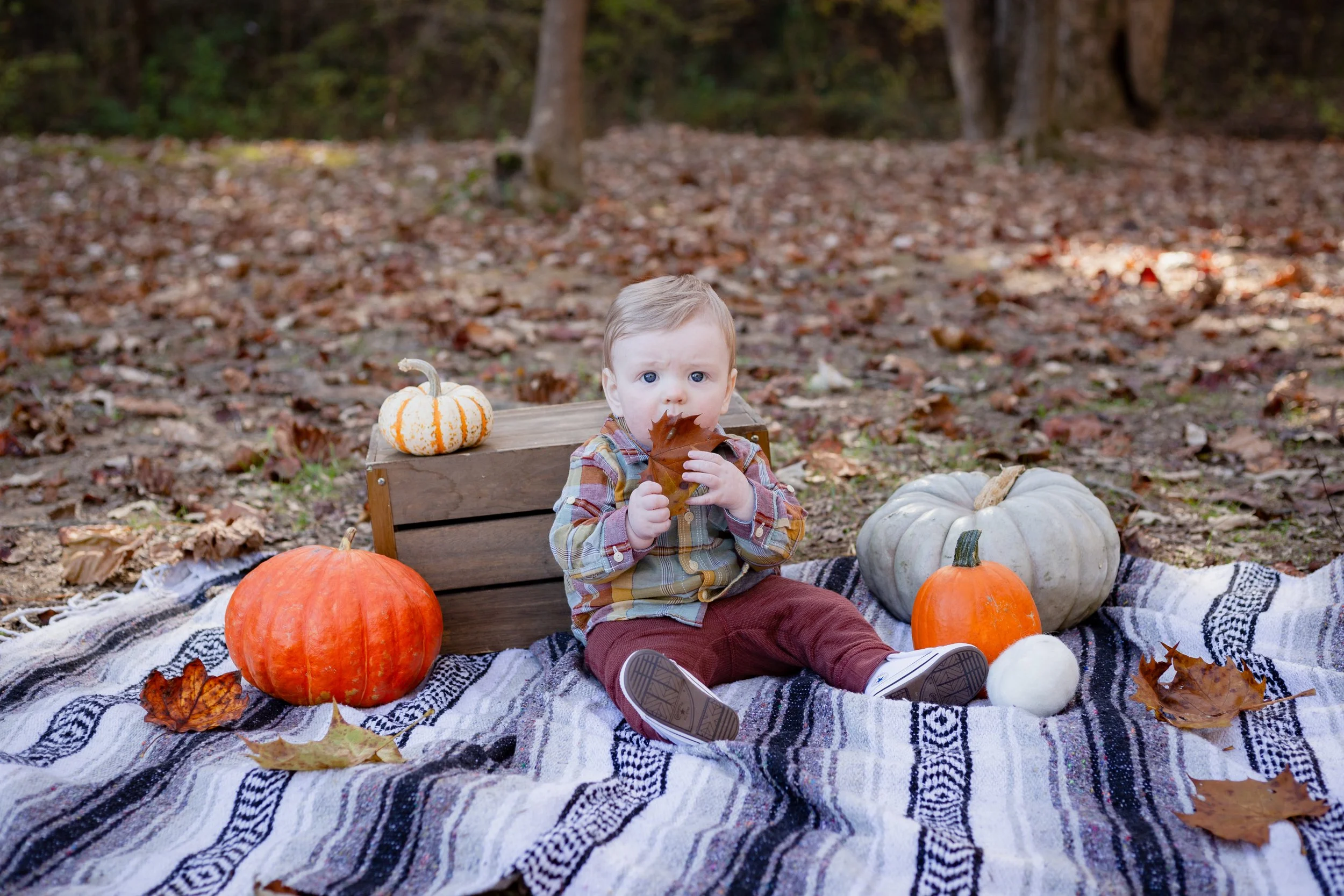 IMG_1292.jpg