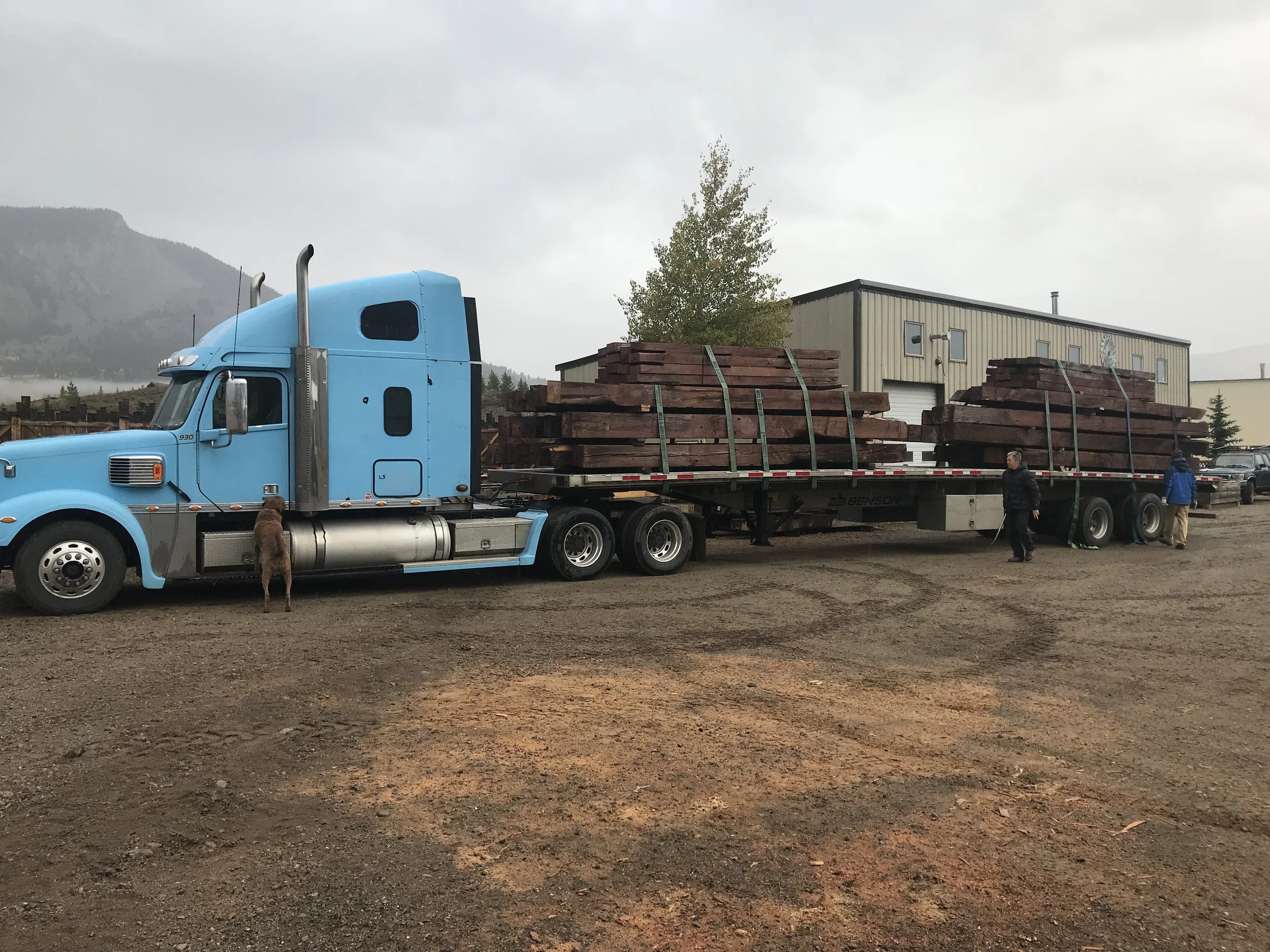 A delivery of reclaimed Douglas fir timbers.