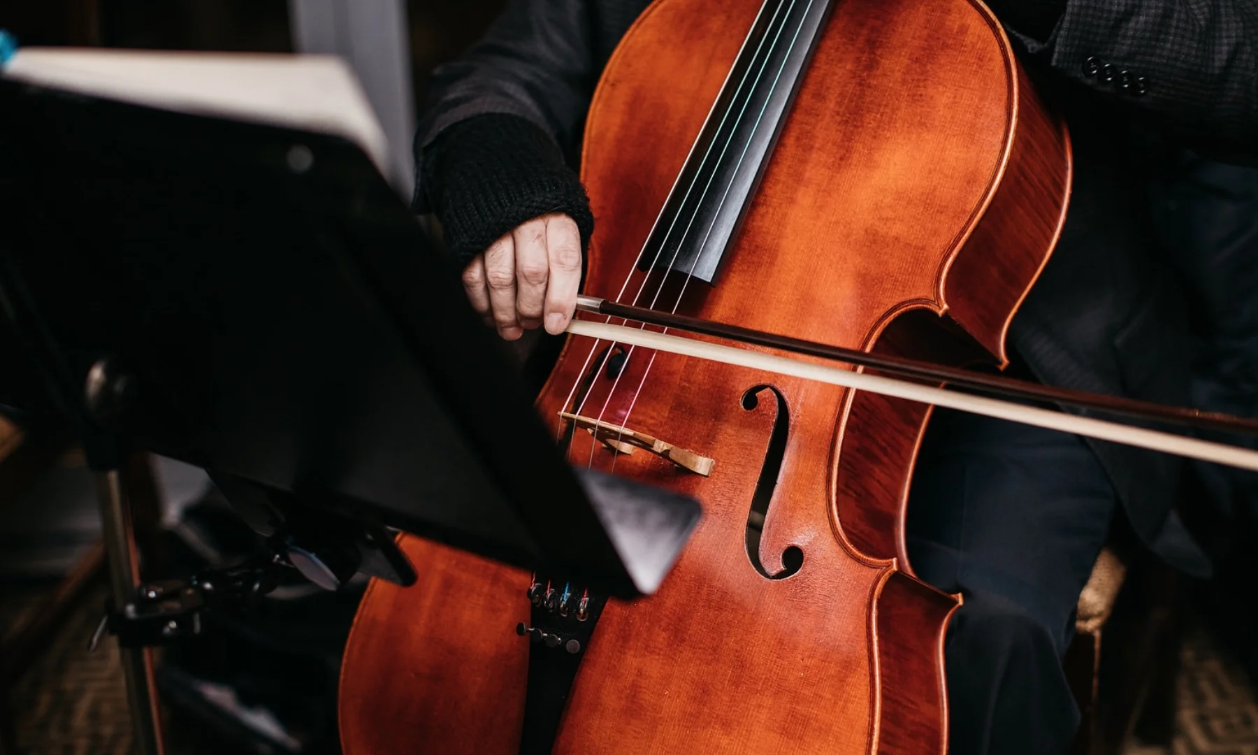 cello_2018.jpeg