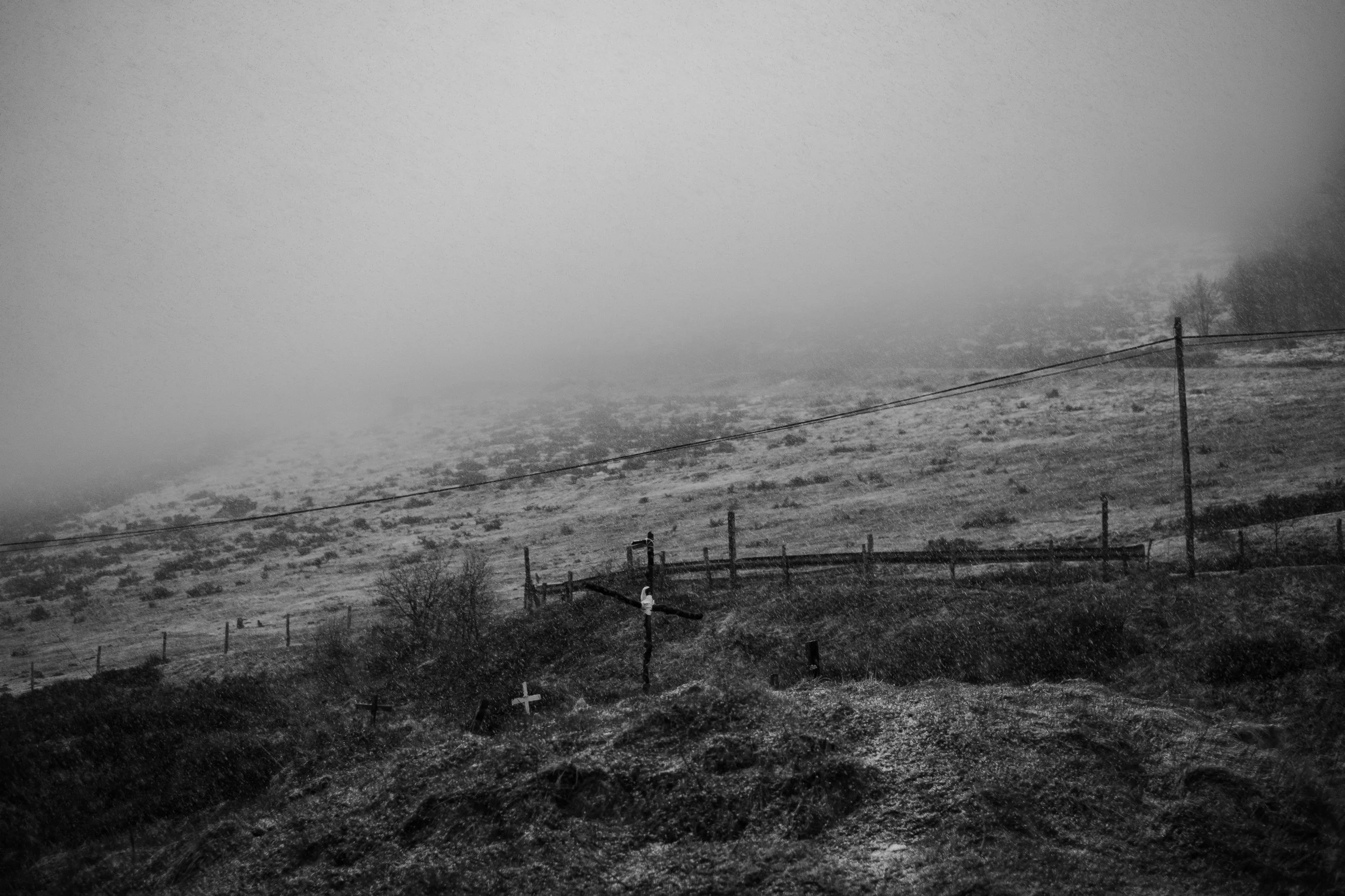 DSCF3089.jpg