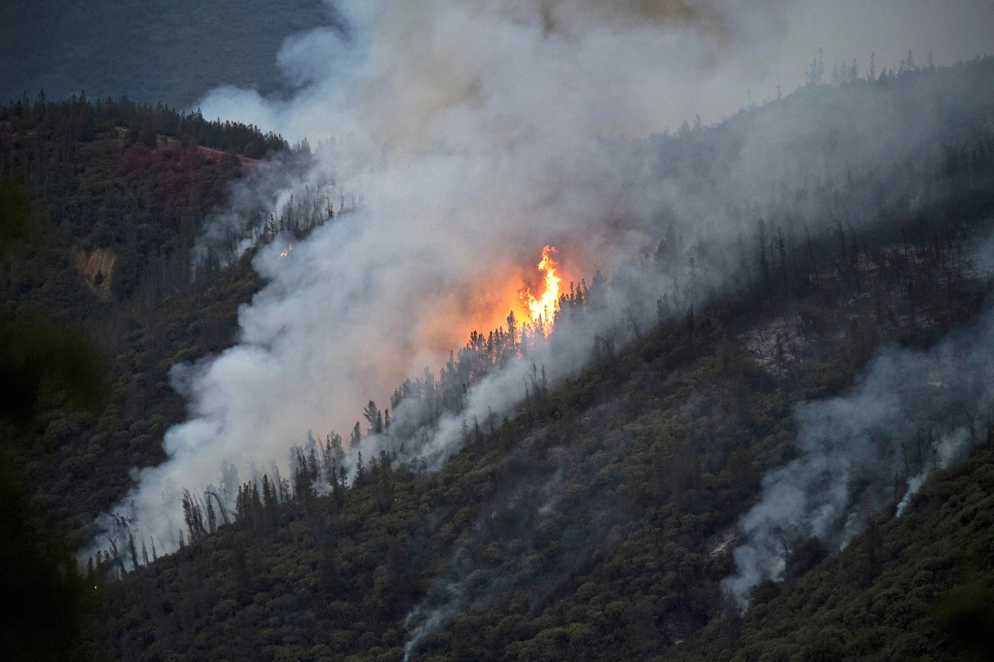 California_Wildfires_25396.jpg