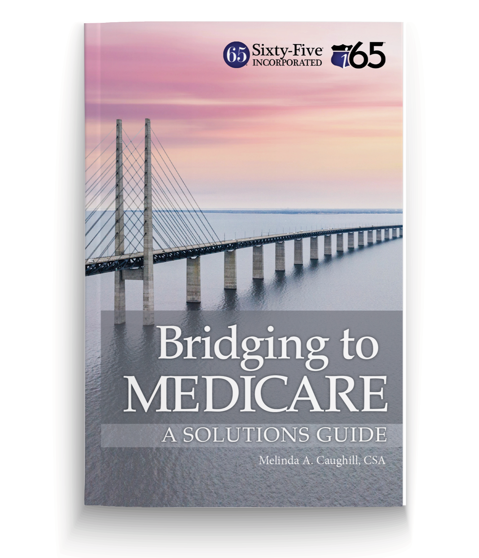 Briding-to-Medicare---Guide---Mockup.png