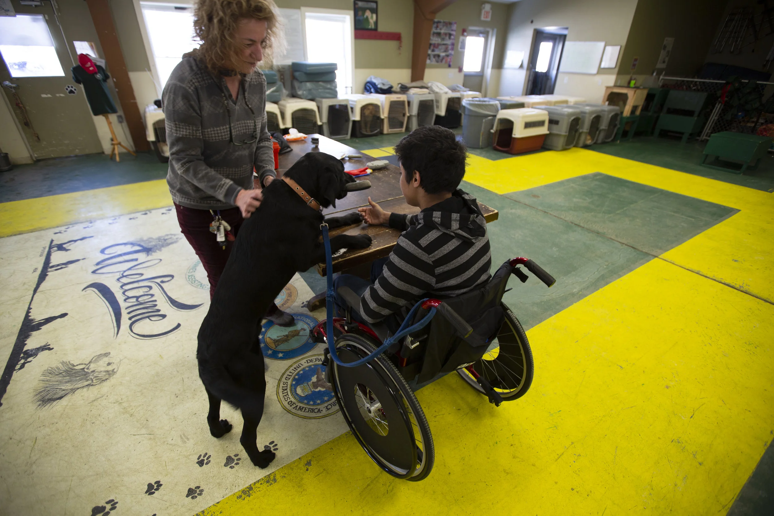 Dependency Facility / ACS Recommendations