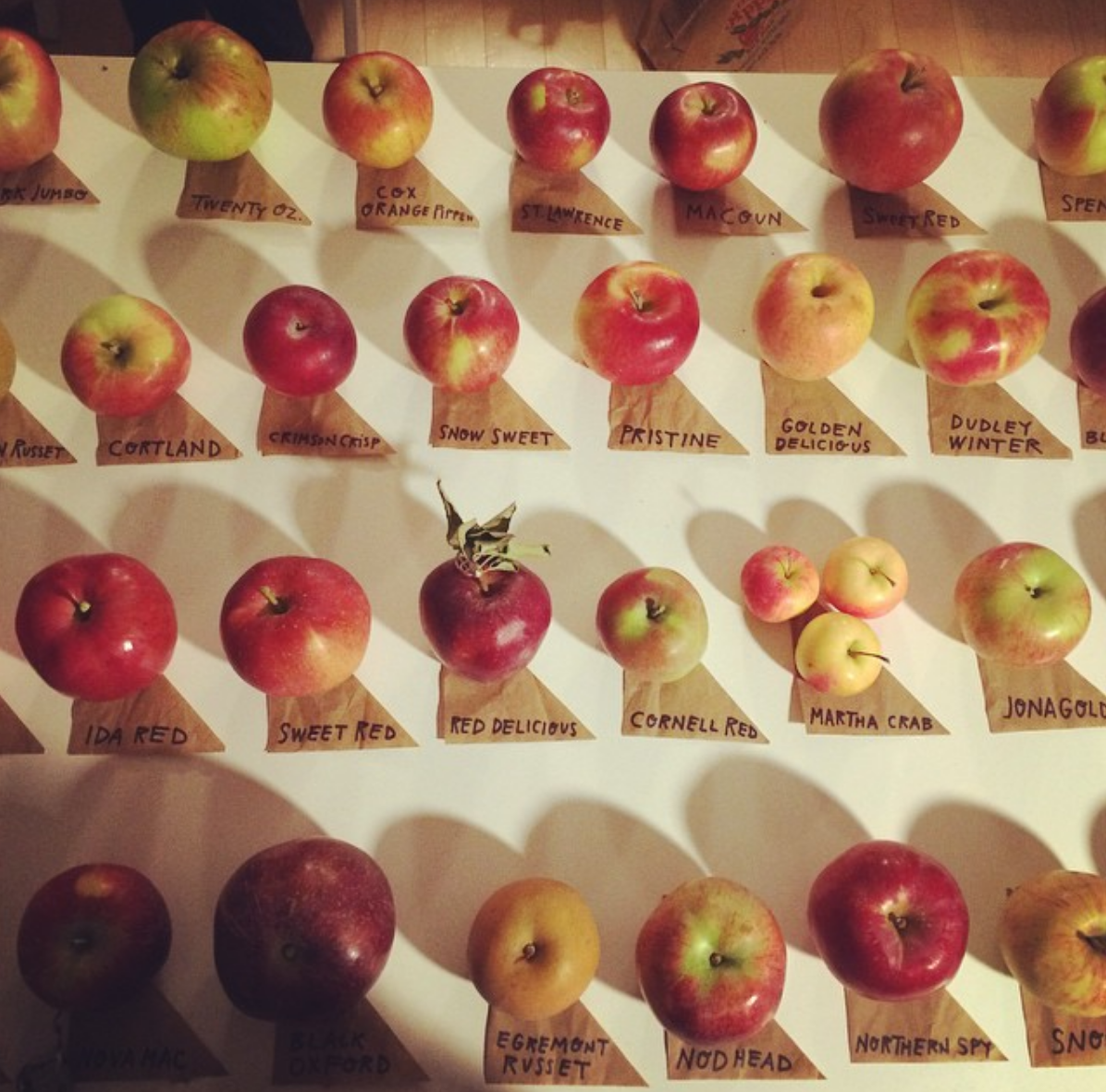 A thoughtfully-written RFP is important when forming an apples to apples comparison with your future website partner.