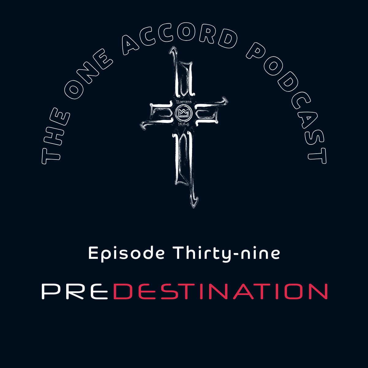 Predestination episode artwork