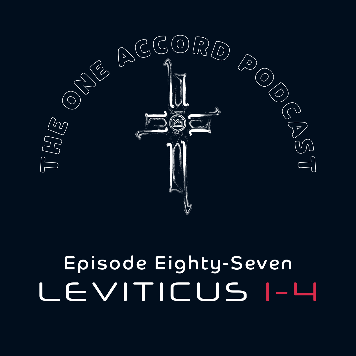Leviticus 1-4 episode artwork