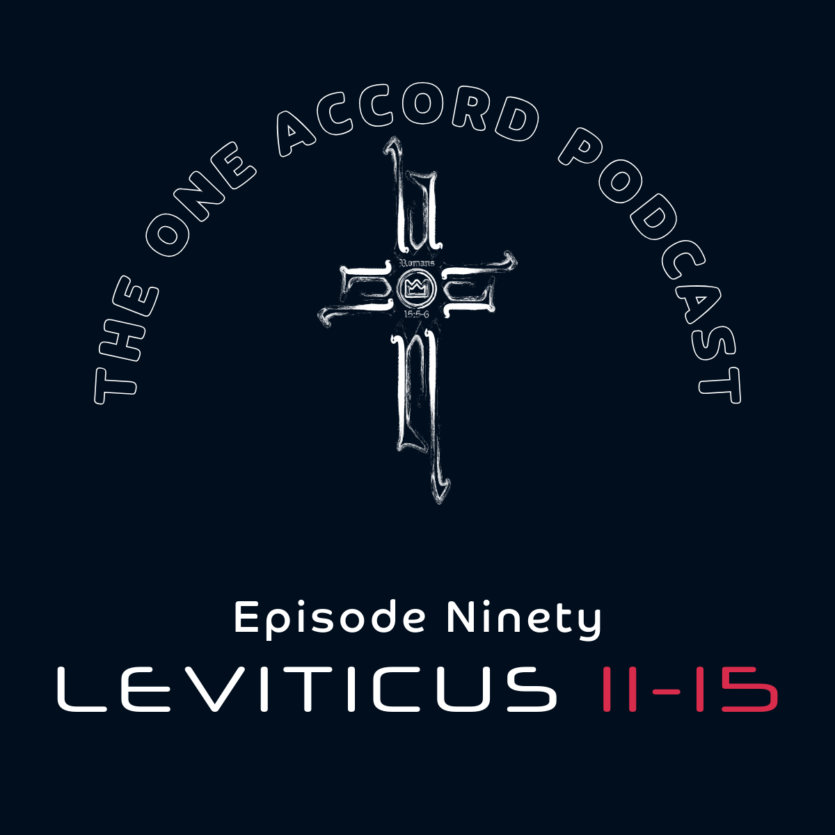 Leviticus 11-15 episode artwork