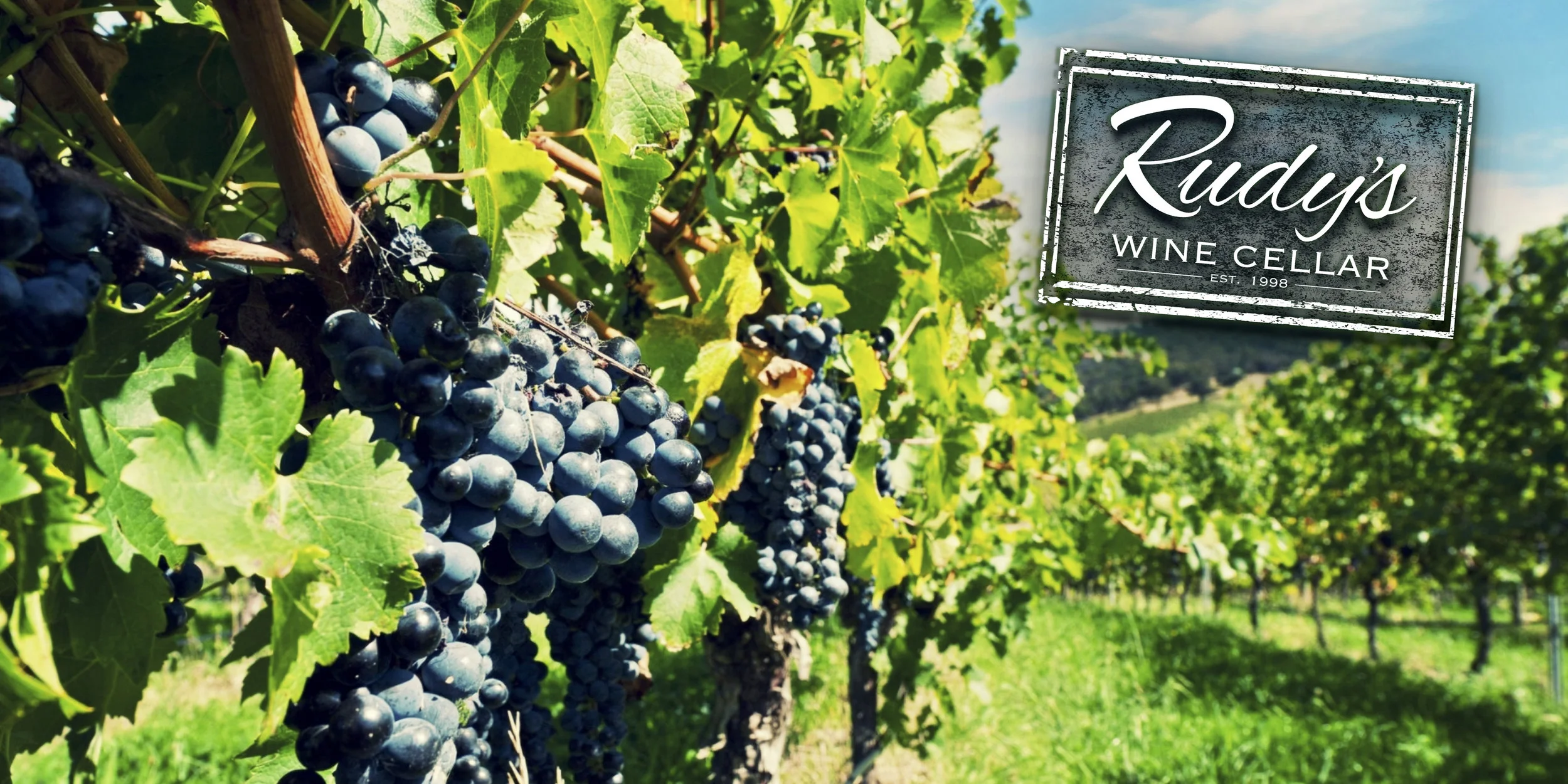 Home — Rudy's Wine Cellar