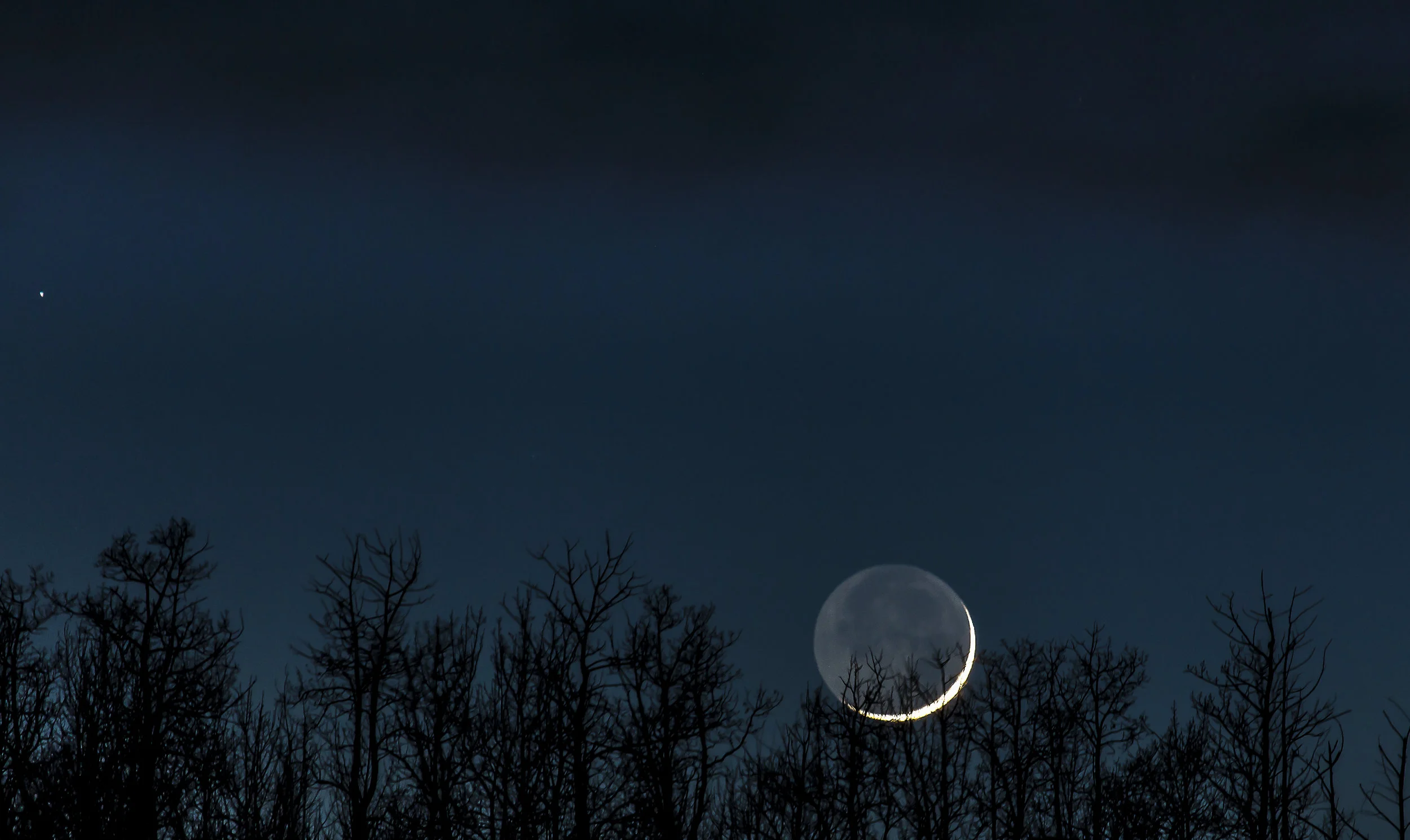 Planting the Seeds of Intention with the New Moon