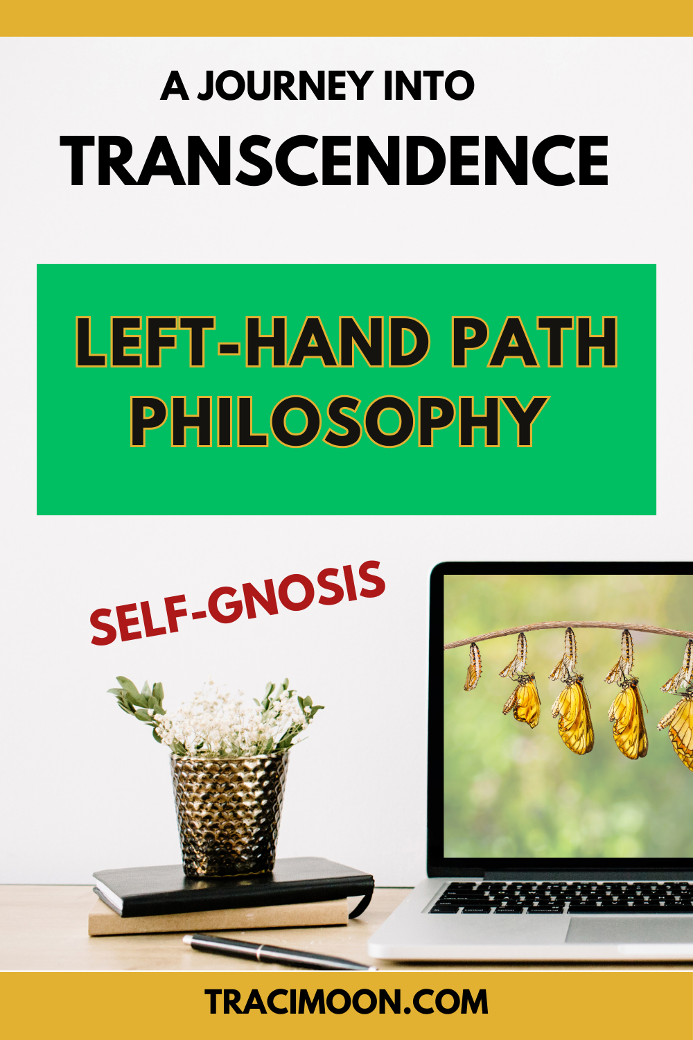 A Journey into Transcendence: Left-Hand Path Self-Gnosis