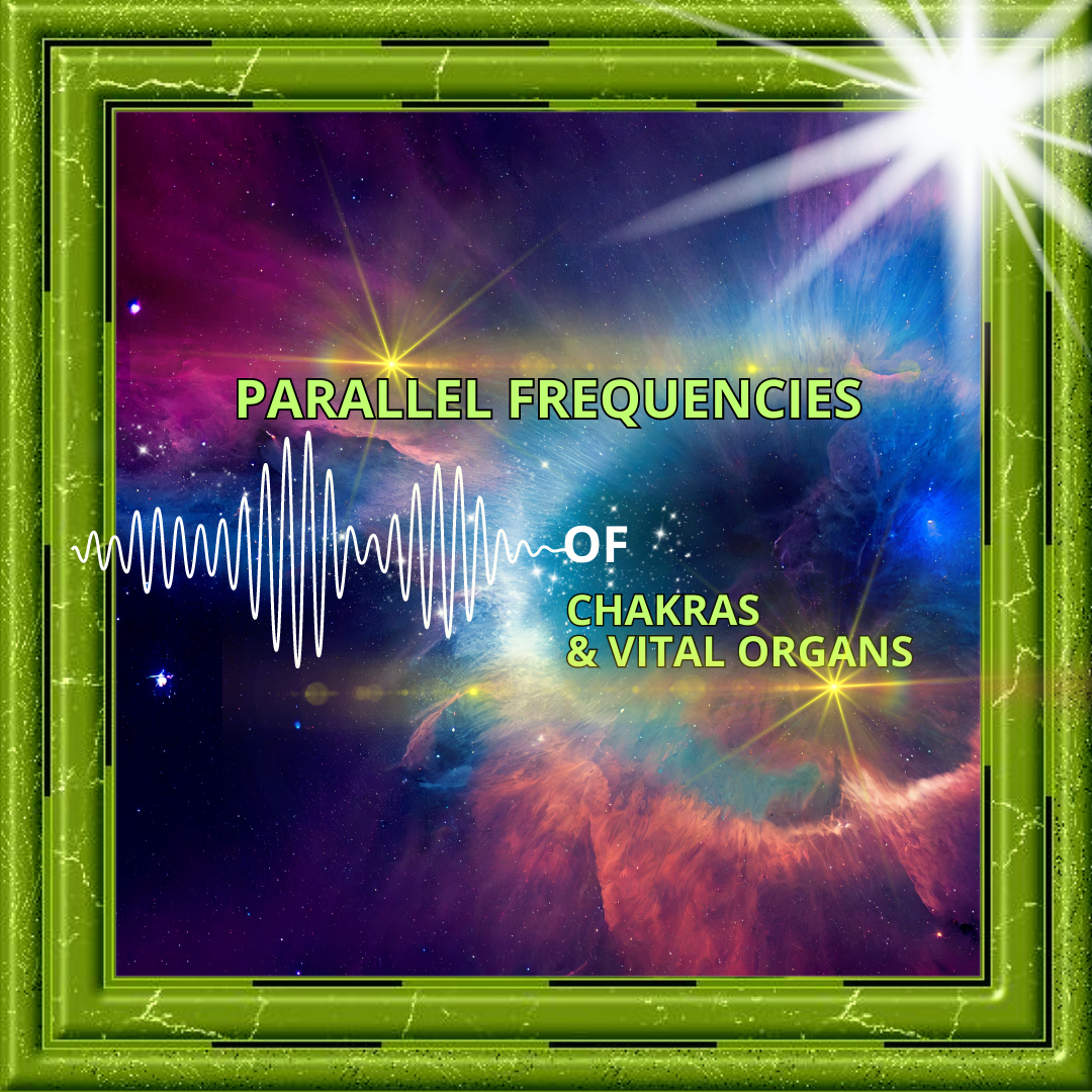 Parallel Frequencies of Chakras and Vital Organs