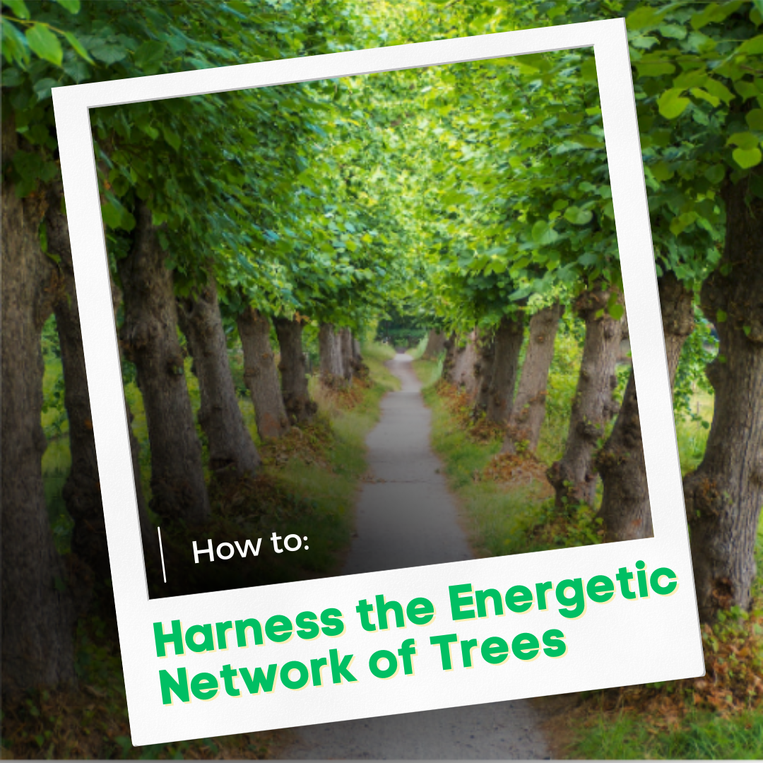 Harnessing the Energetic Network of Trees