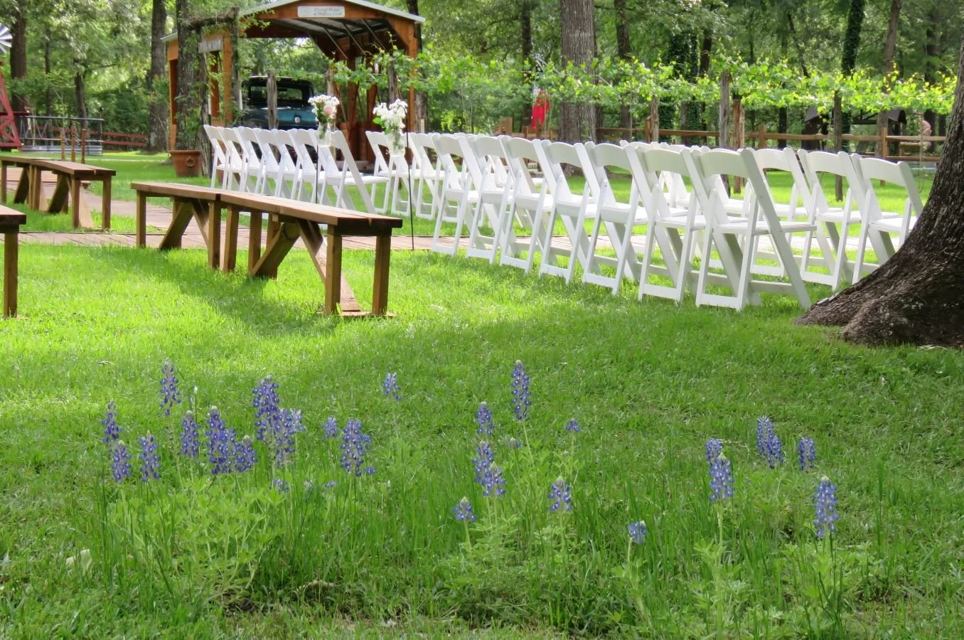 wedding-venues-montgomery-tx-bluebonnets-vineyard.JPG
