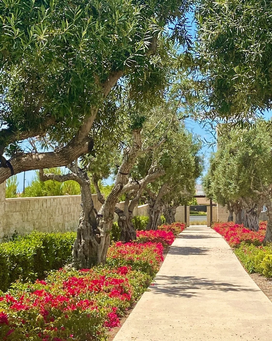 Looking forward to sunny days ahead☀️