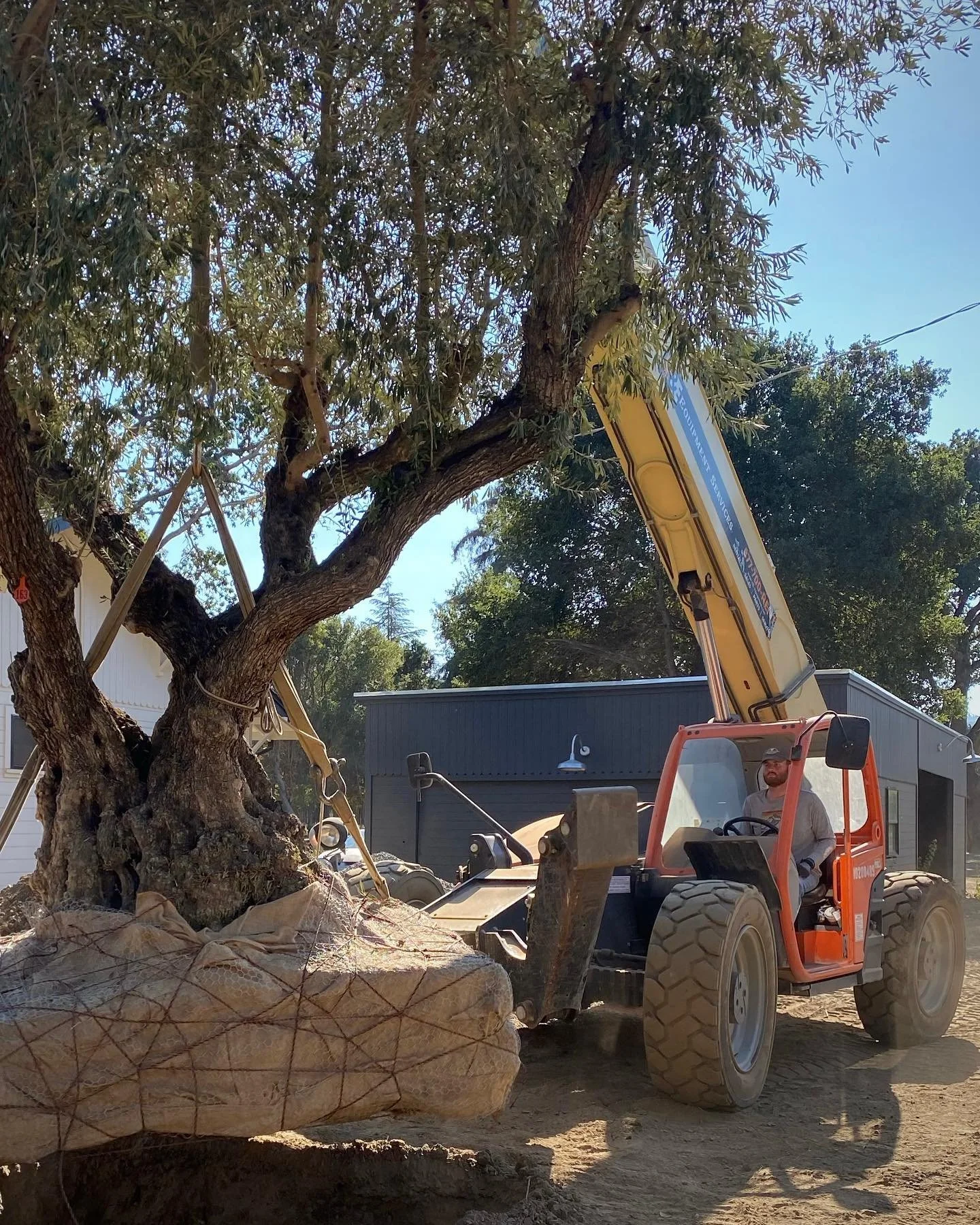 Setting them like a boss!