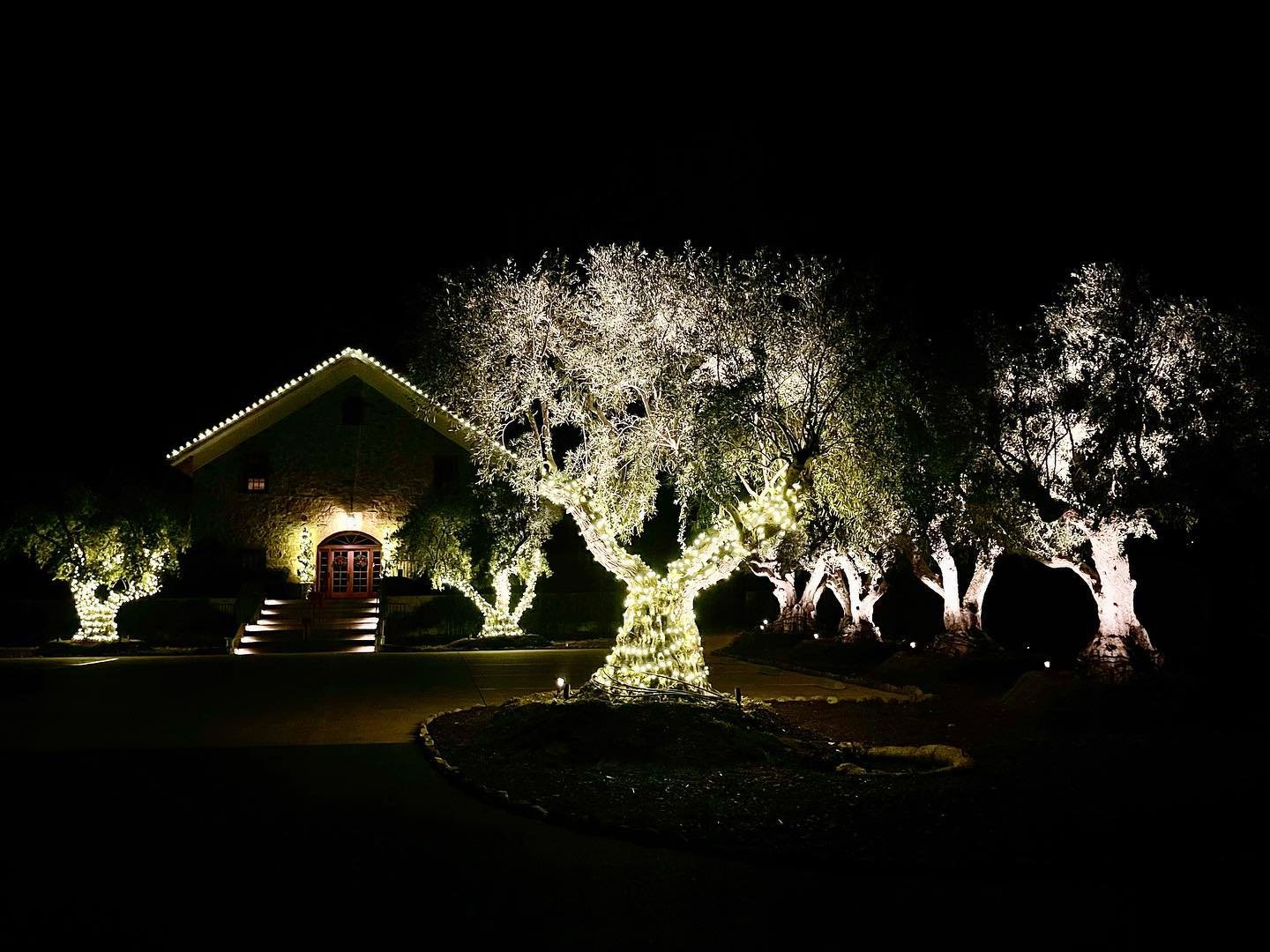 Merry Christmas to all and to all a good night! 🎄