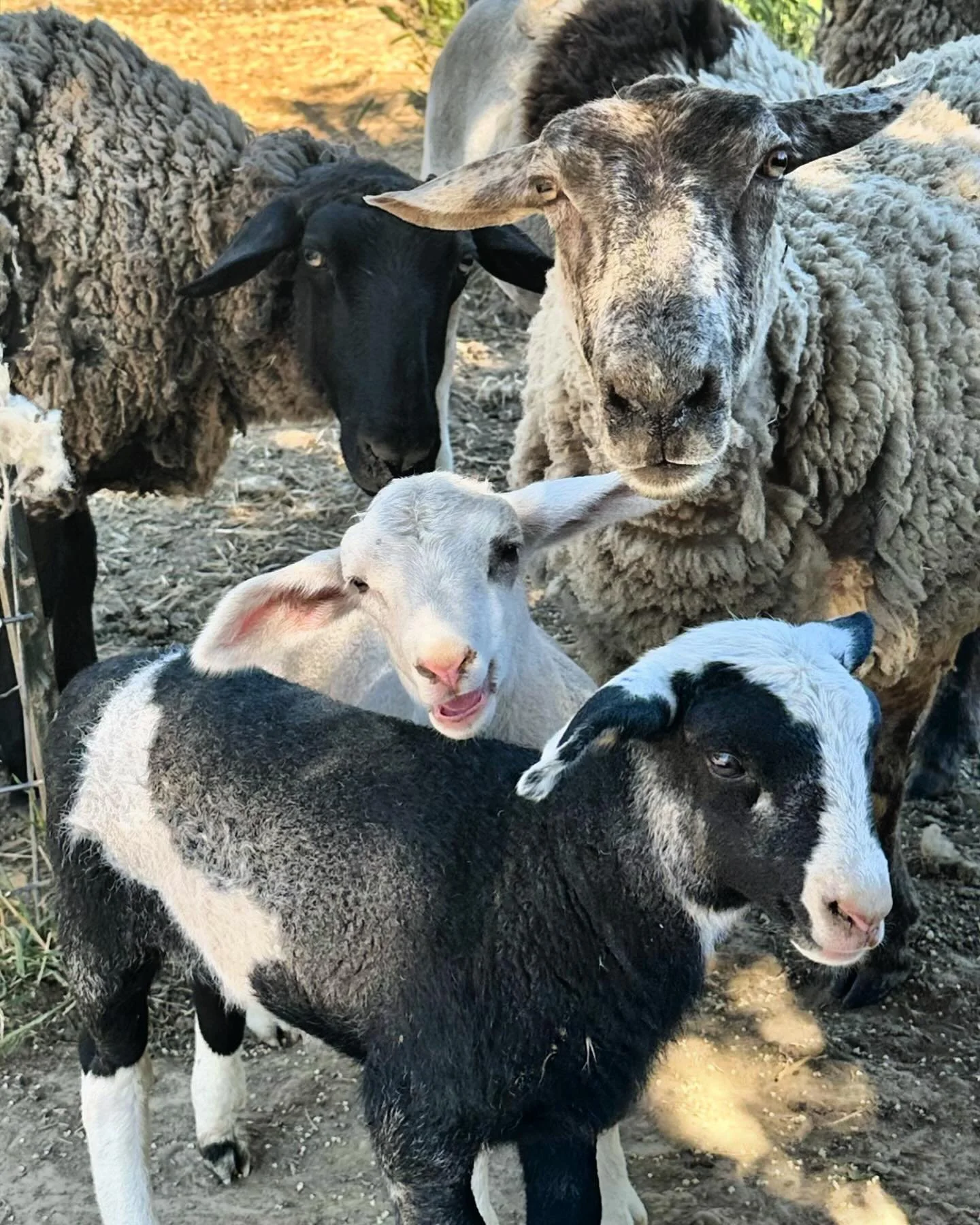 Wishing you a Happy Mother&rsquo;s Day!🩷