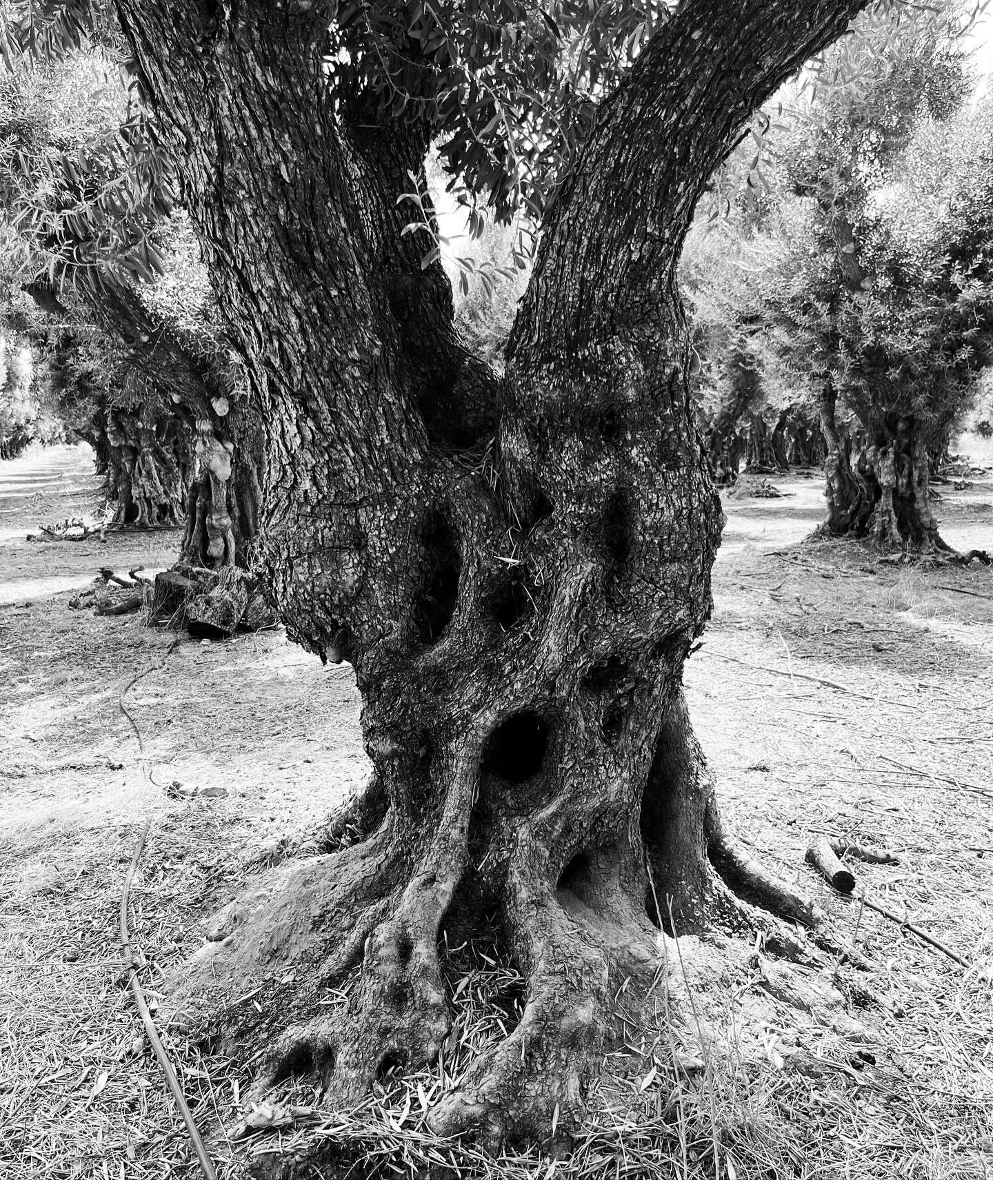 Happy Halloween 👻