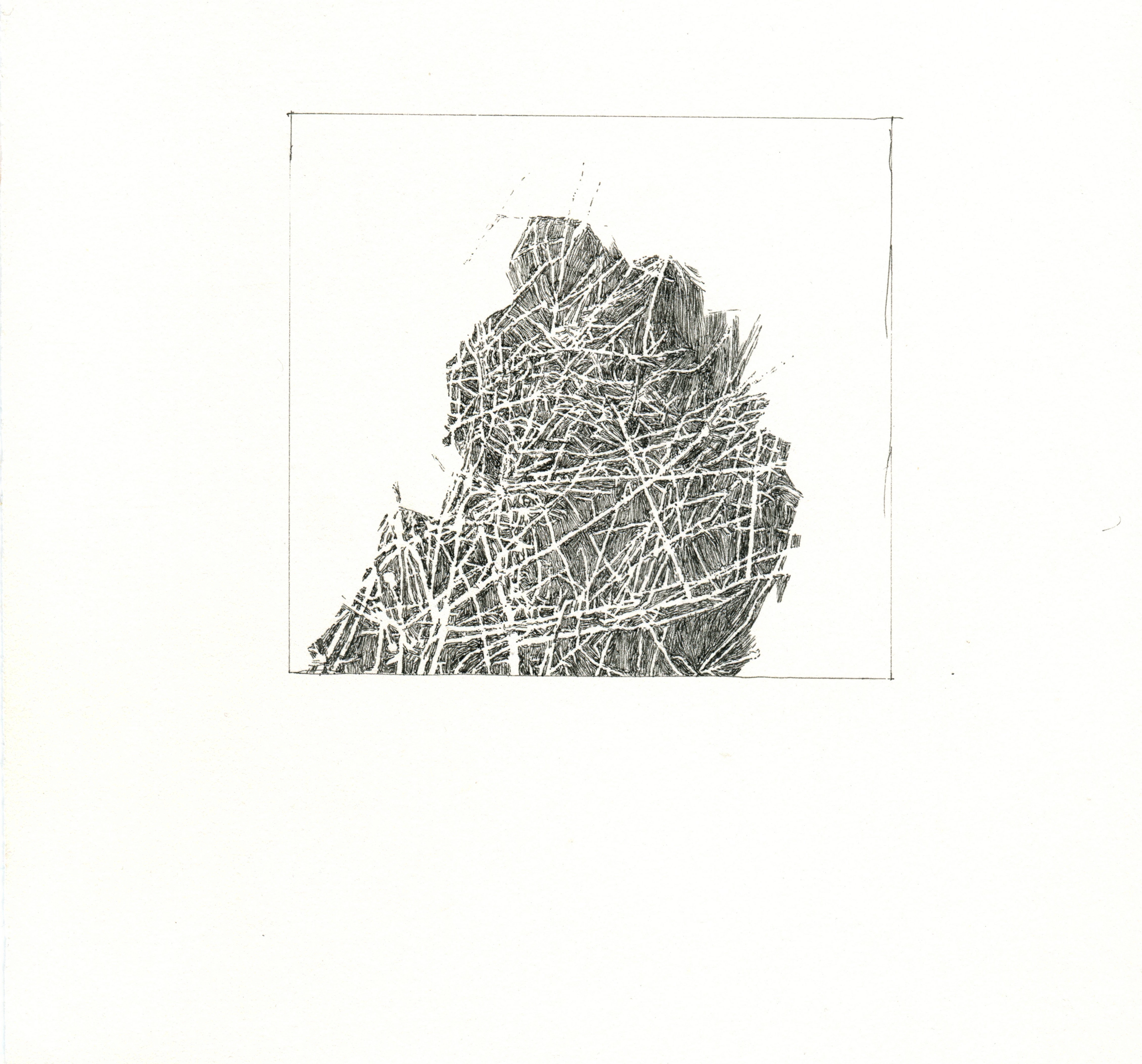  Untitled (Forest Study IV), Micron on Paper, 7.5 x 8 in. 2017   