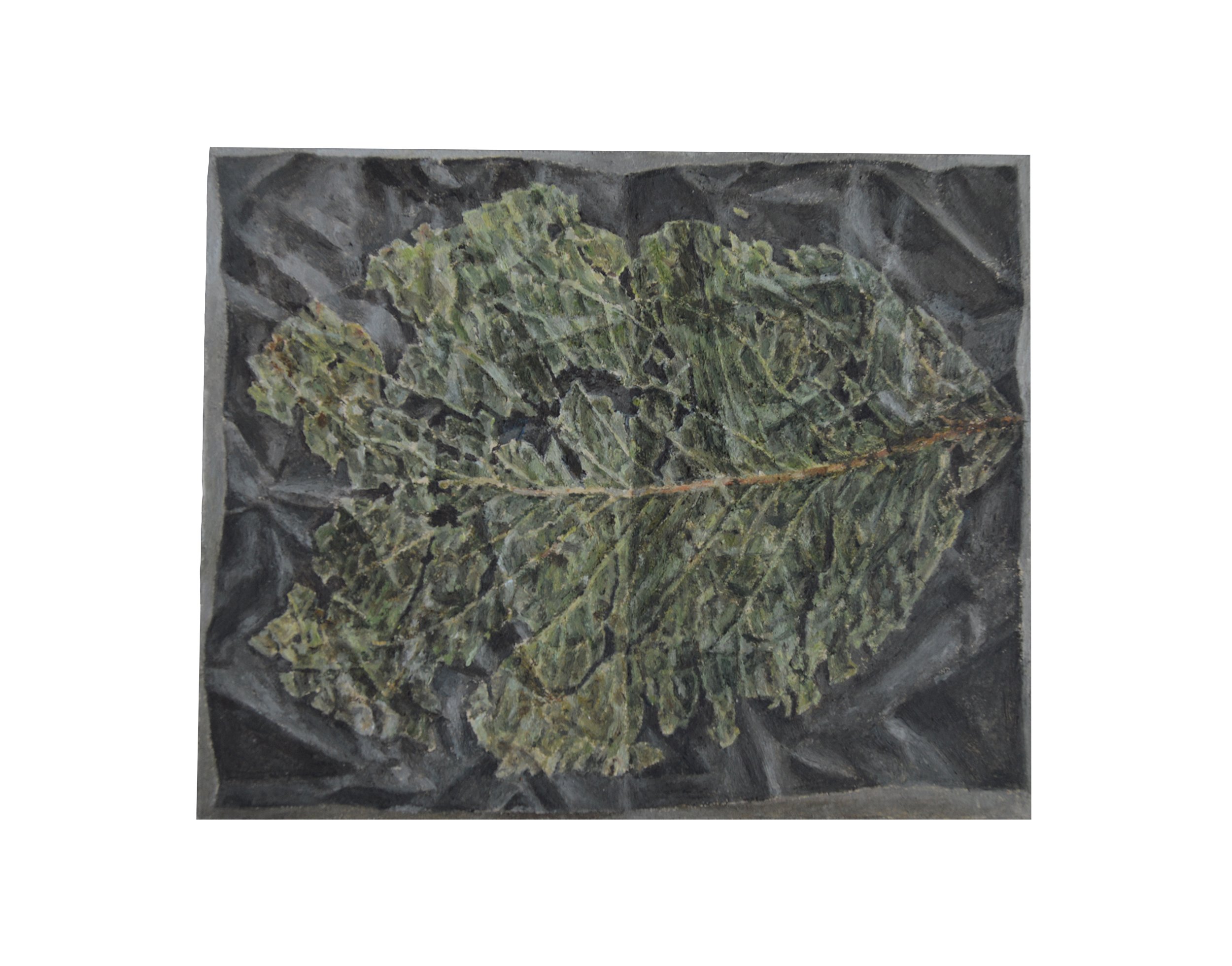  Folded Leaf, Oil on Panel 3 ½ x 4 ⅜ in. 2019 