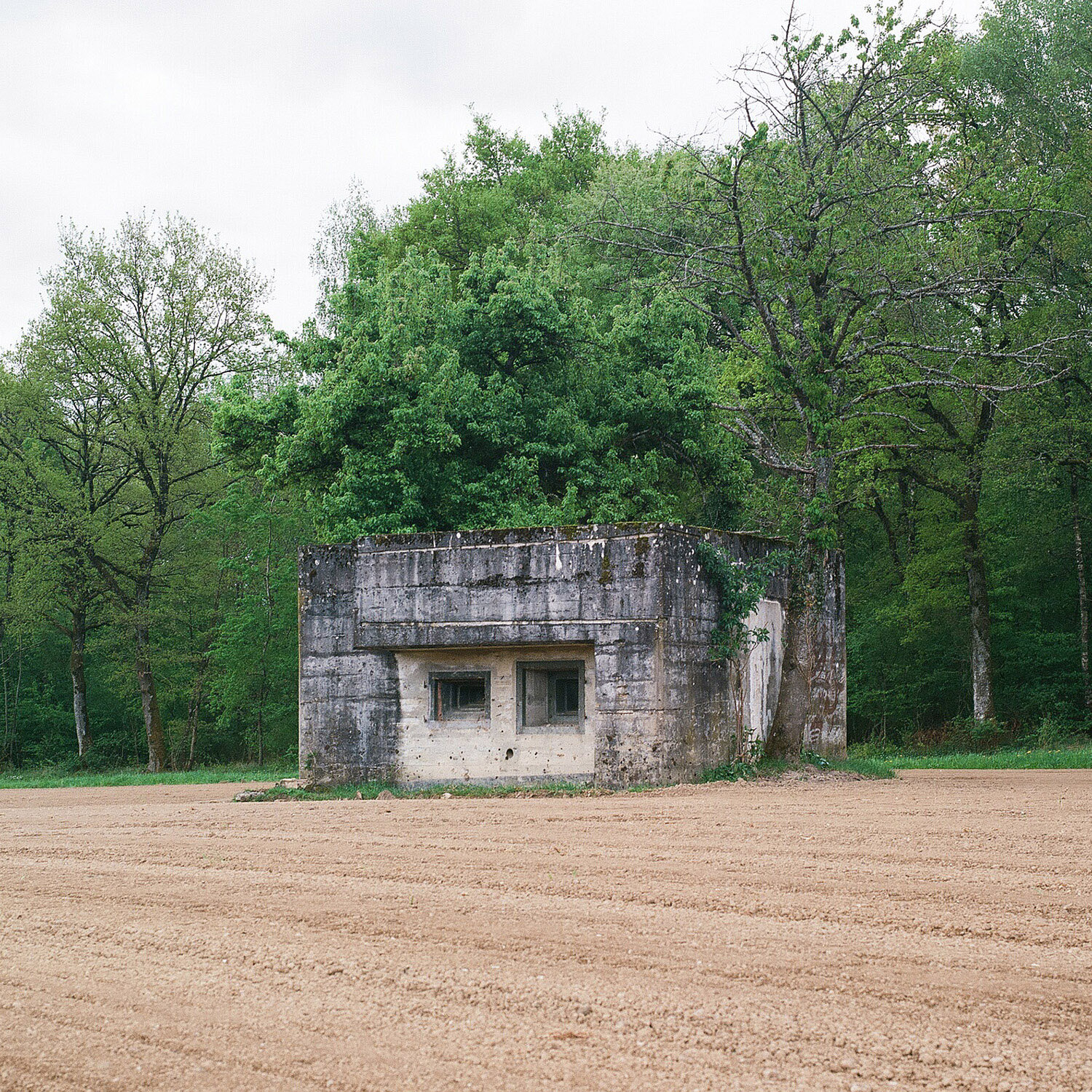 Carnet de Voyage_Geneva_8.jpg