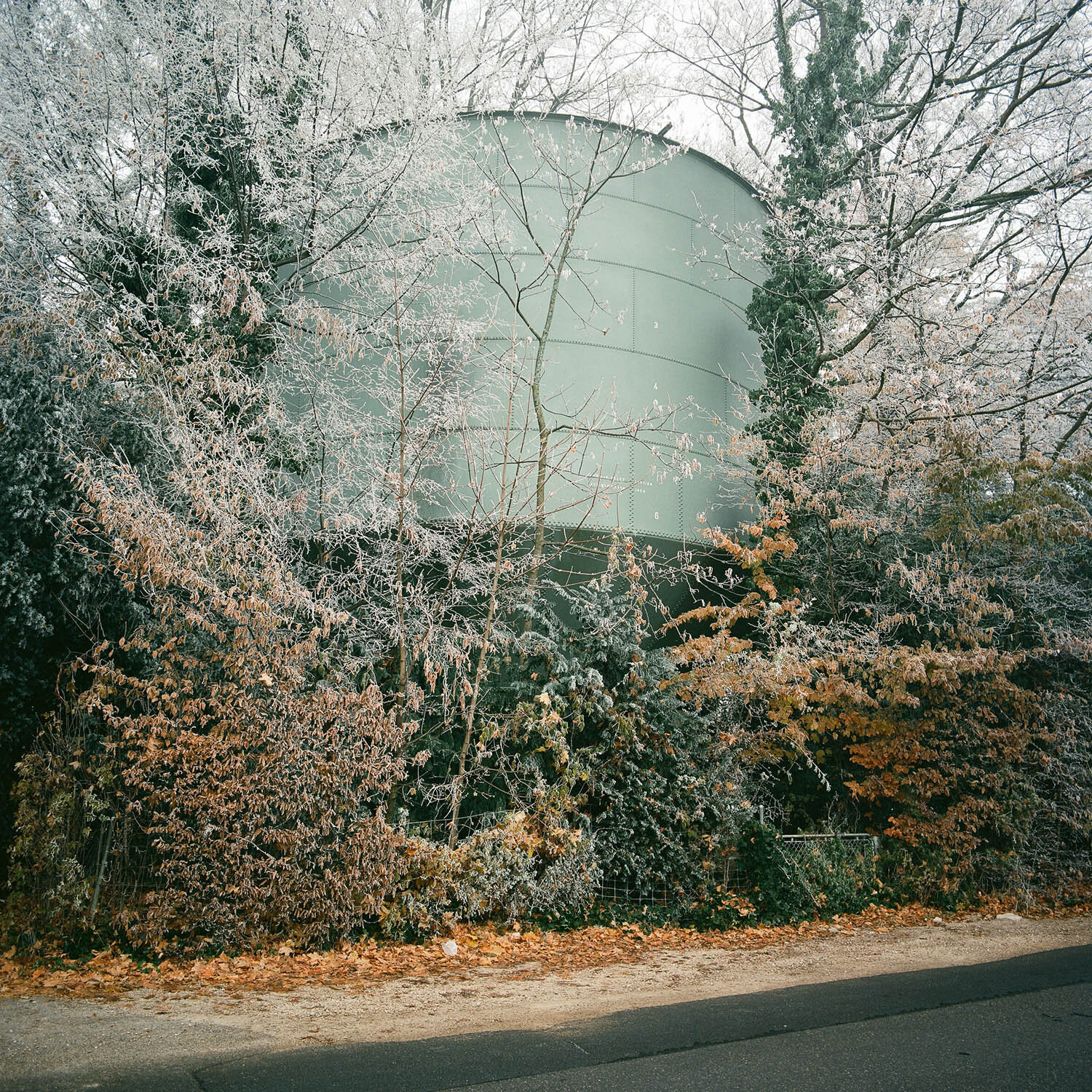 Carnet de Voyage_Geneva_14.jpg