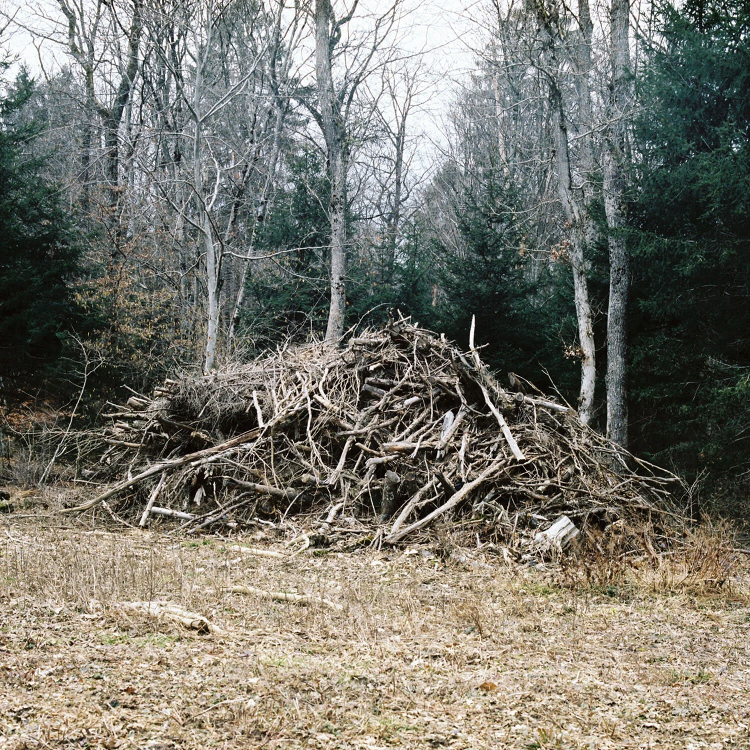 Woodpile_7.jpg