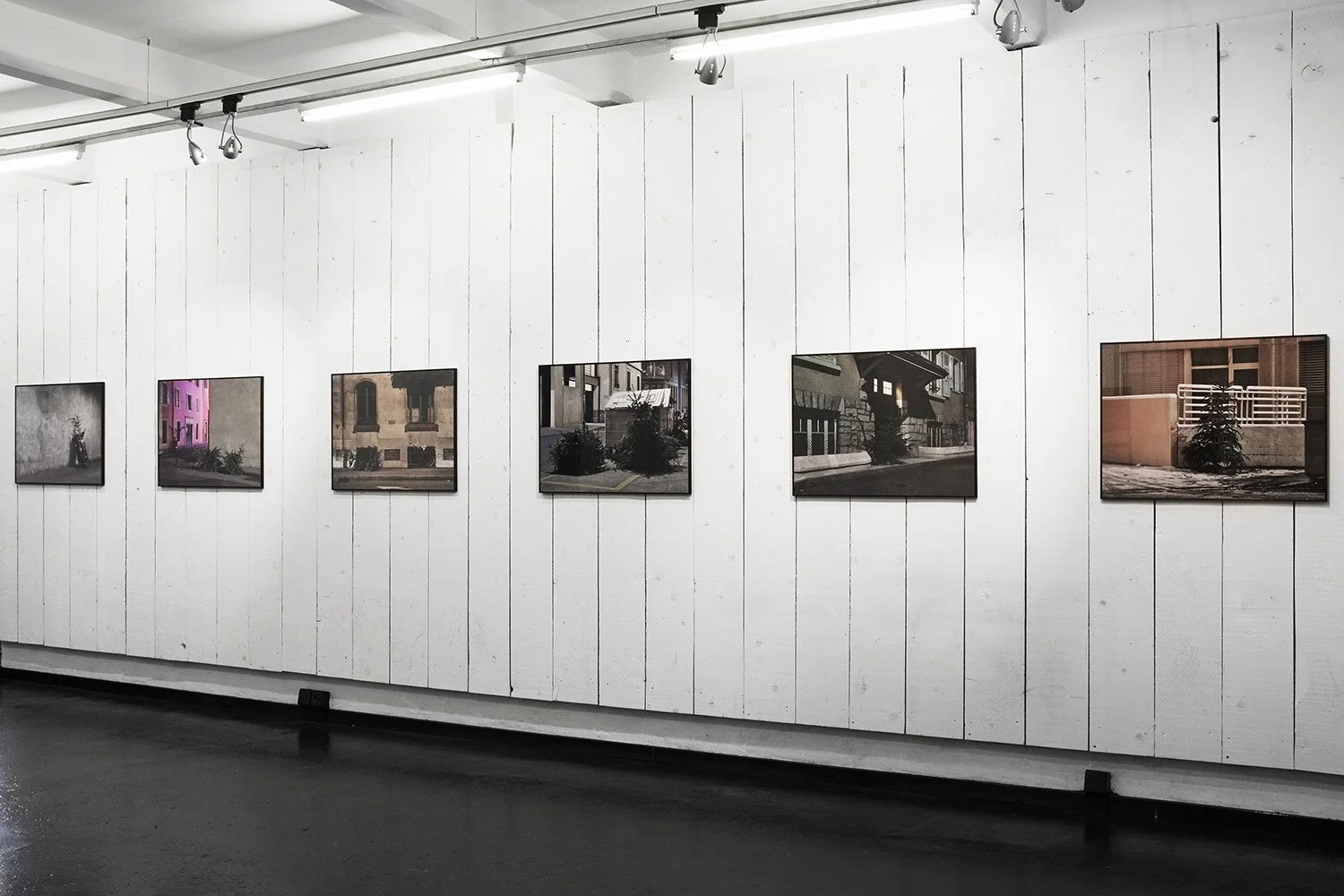 Christmas Tree_2.jpg