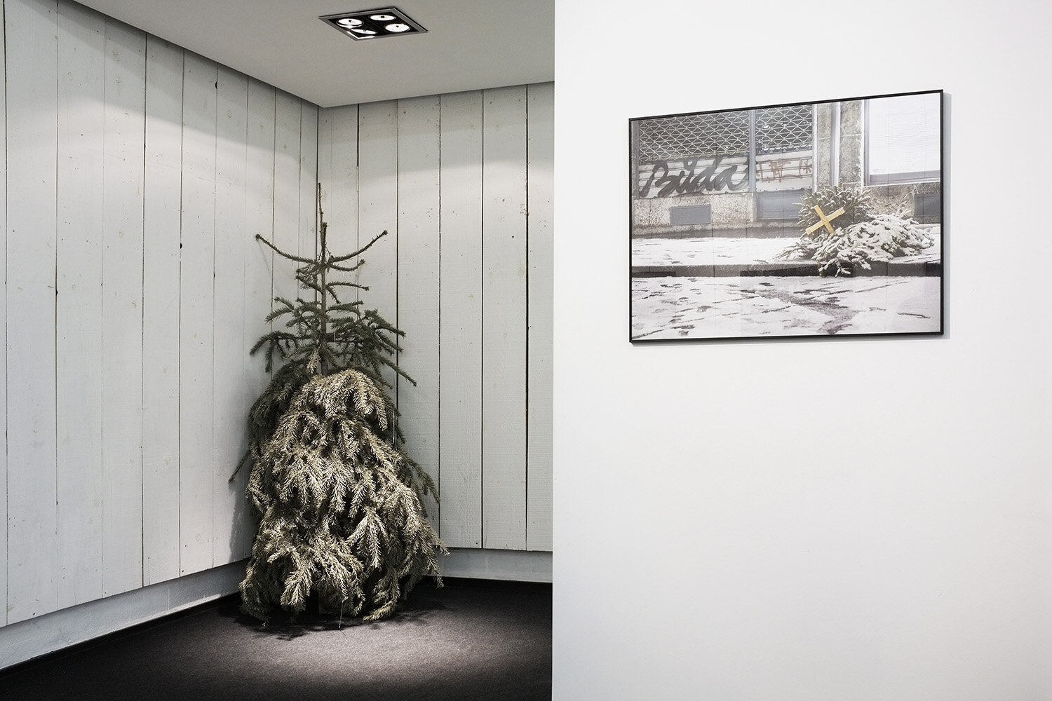 Christmas Tree_3.jpg