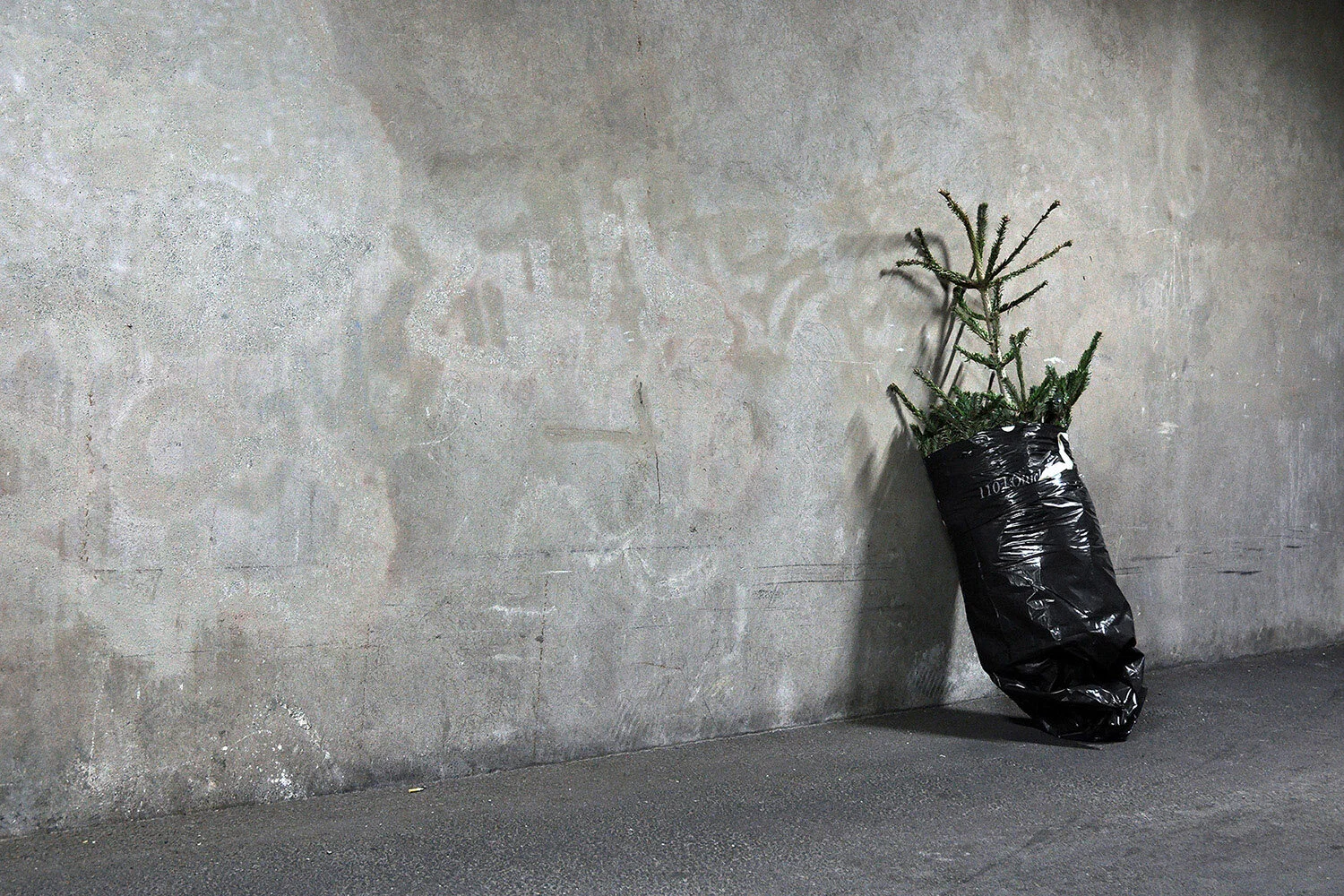 Christmas Tree_4.jpg