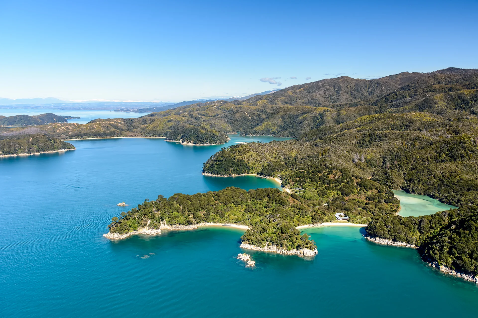 Nelson_Tasman_Air_DSC6084.jpg