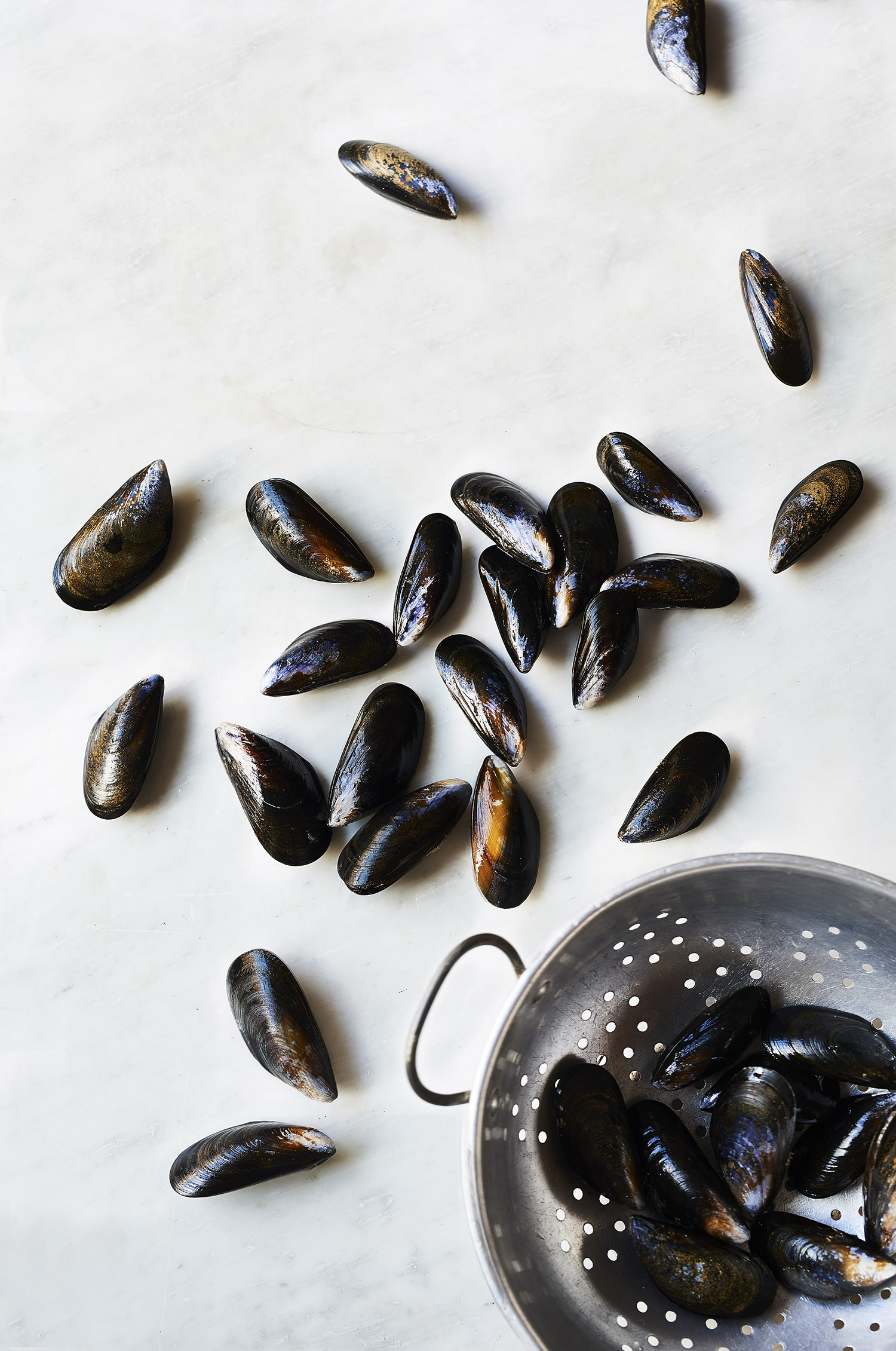 mussels_2.jpg