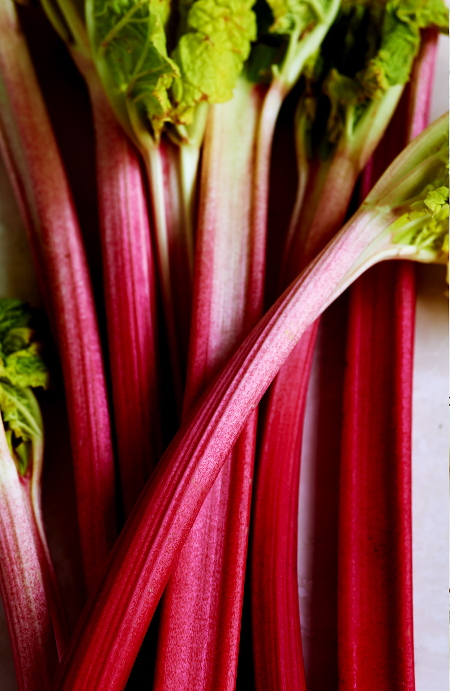 Rhubarbstilllife copy.jpg