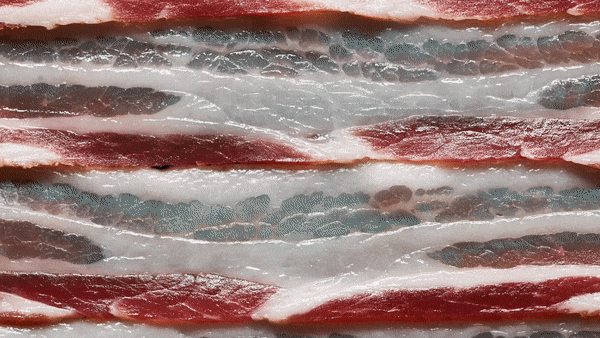 bacon.gif