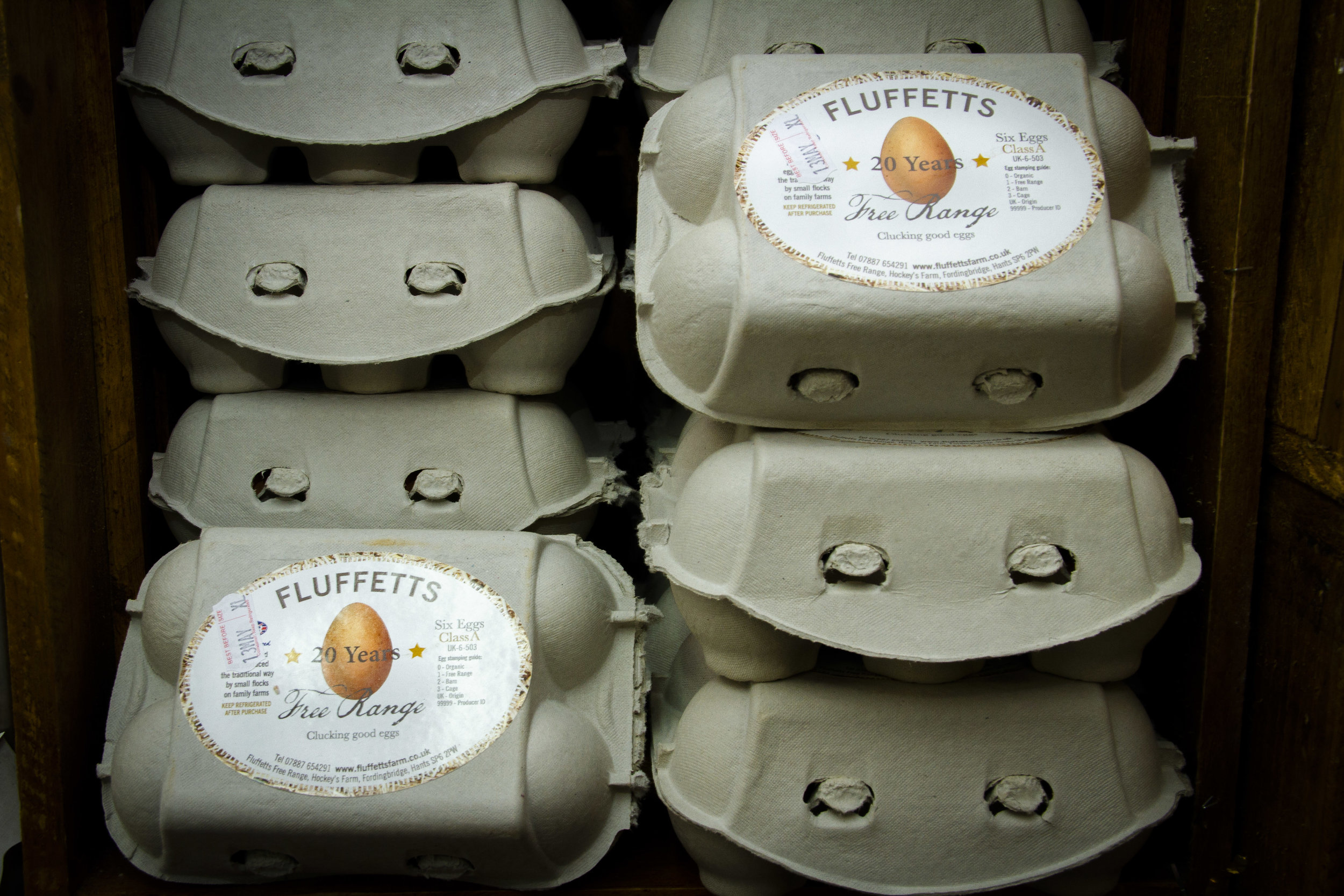 Fluffetts Eggs.jpg