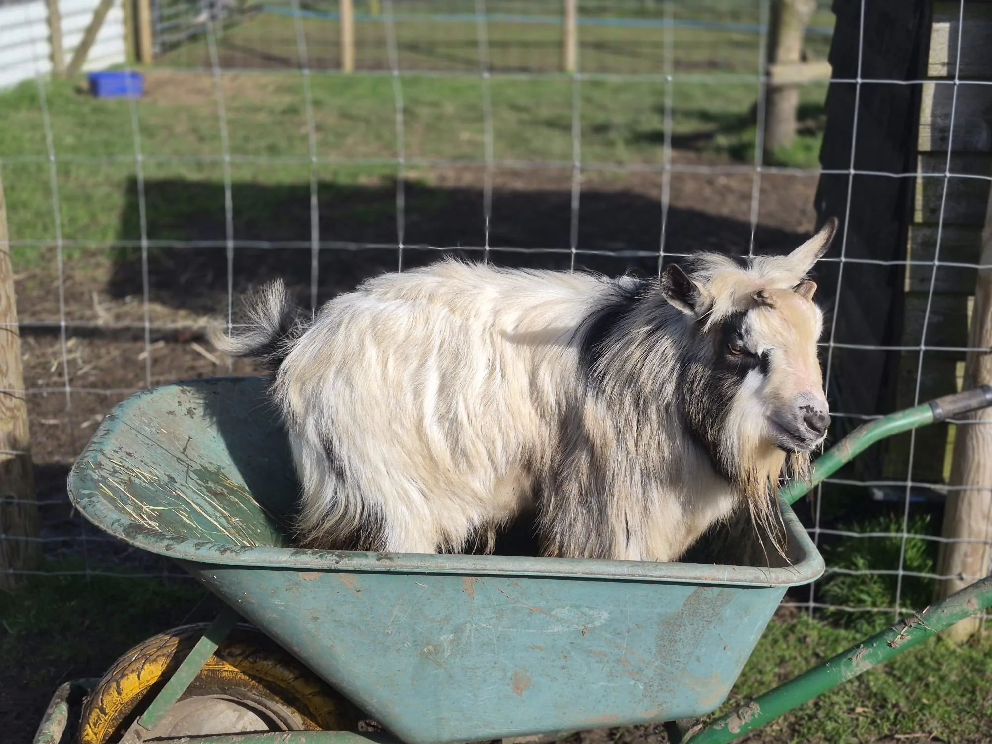 It&rsquo;s not even 10am on the first real day of the Easter holidays&hellip; and you&rsquo;ve already been asked for approximately 7,352 snacks, refereed 3 arguments, and questioned your life choices at least once 😅

Before someone says &ldquo;I&rs