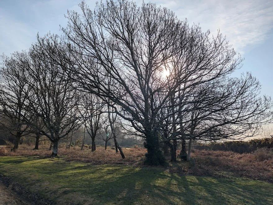 A Spring Day Out at Hockey’s – Eat, Shop, Walk, Relax