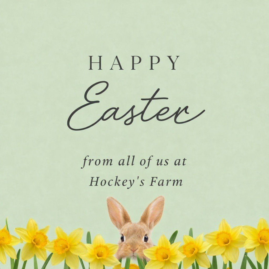 Happy Easter from all of us at Hockey&rsquo;s Farm 🐣

We&rsquo;re open as normal across the Easter weekend, so if you&rsquo;re out and about in the New Forest, pop in and see us. Whether it&rsquo;s a relaxed breakfast in the Farmyard cafe, a wander 