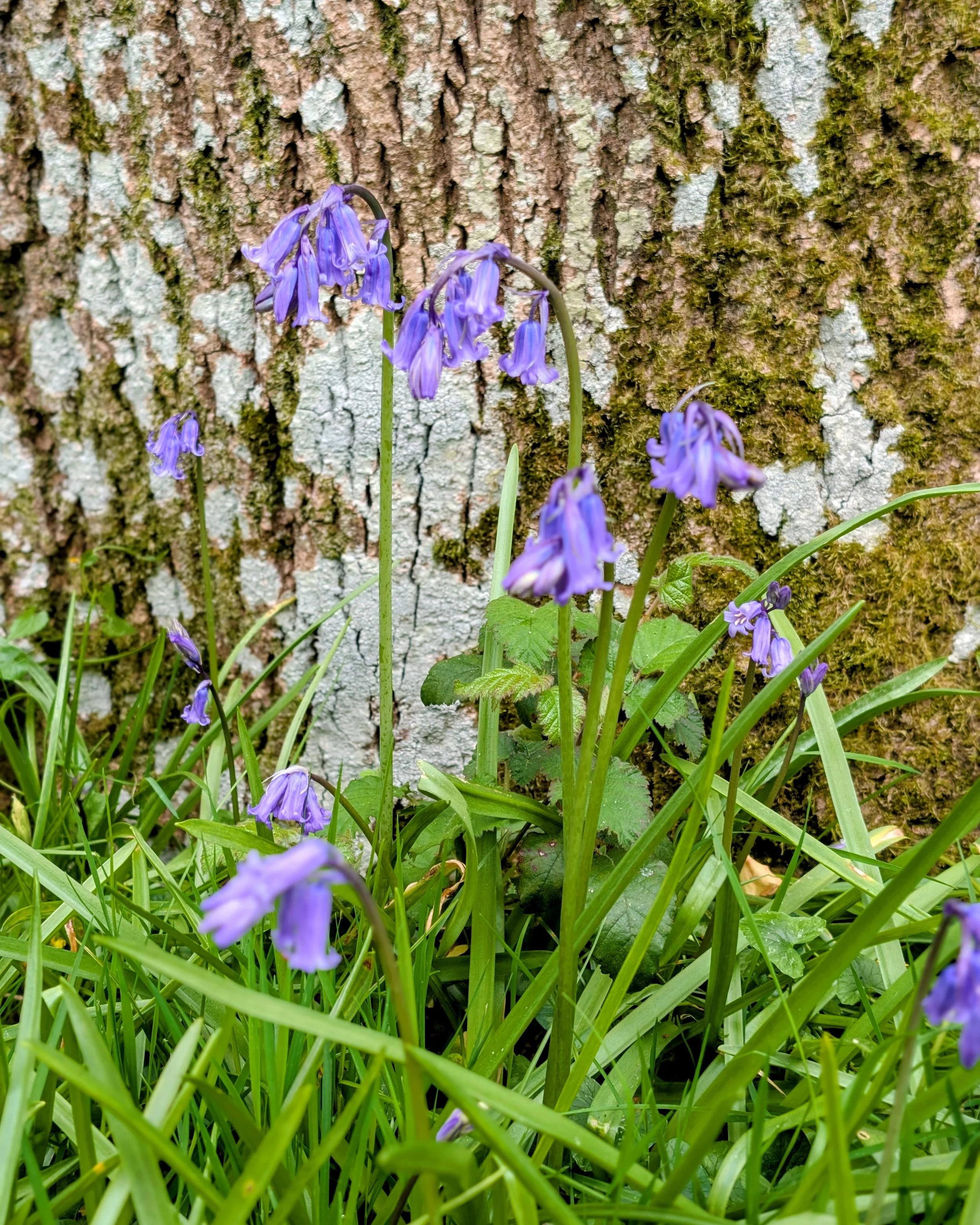 PXL_20260421_085309835.PORTRAIT~2 (1).jpg