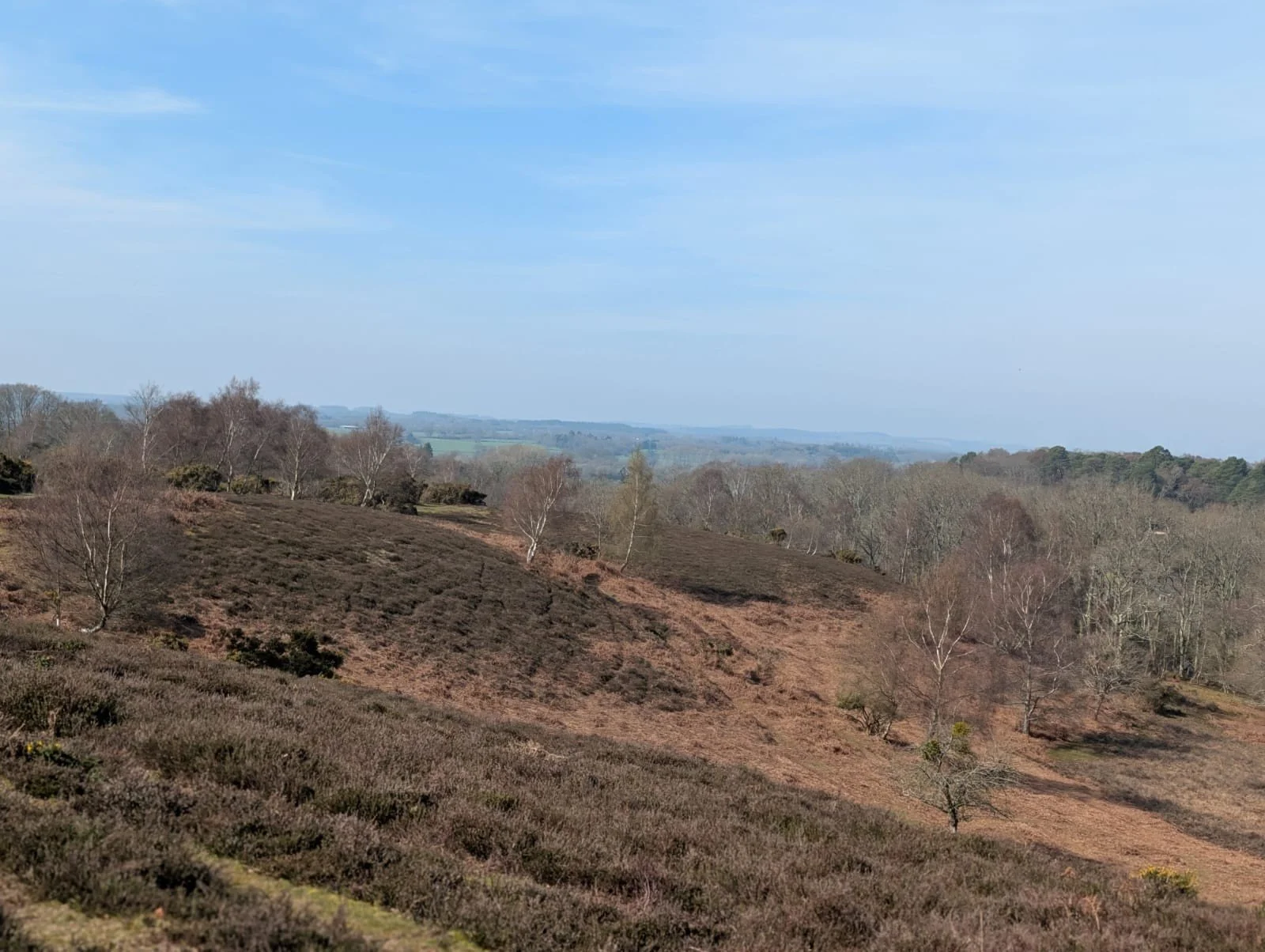 Step into the New Forest and experience it properly 🌿

Our Commoners Guided Walk &amp; Talk returns on Thursday 30th April at Hockey&rsquo;s Farm Shop, South Gorley, a unique chance to hear first-hand about commoning traditions, the livestock that s