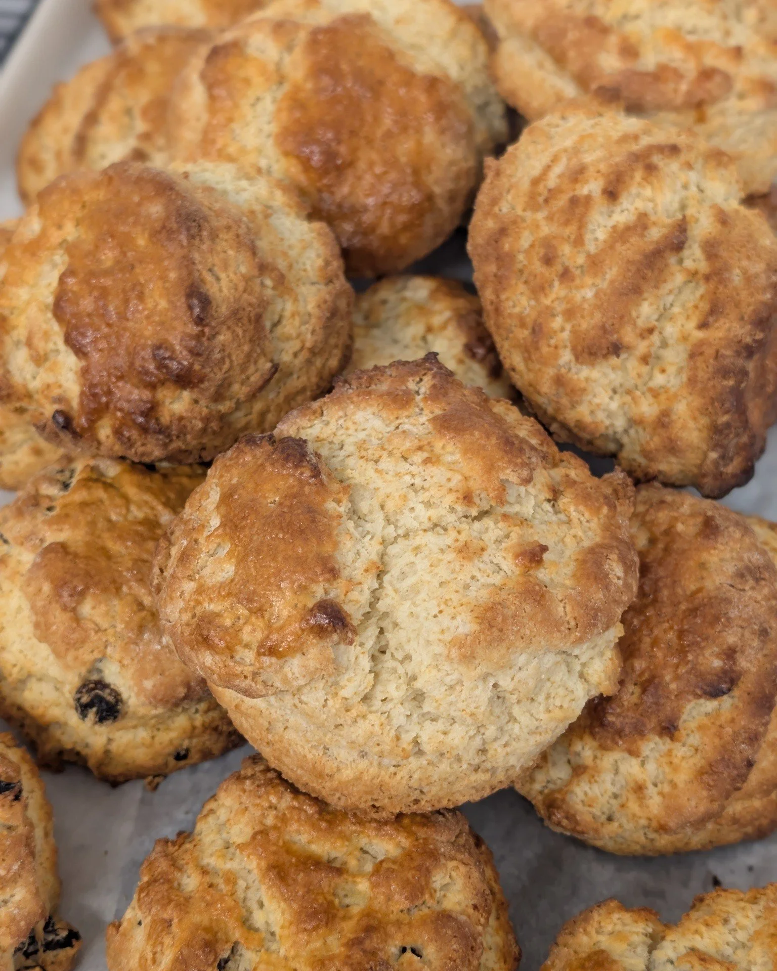Freshly baked scones ready for this afternoon in the Farmyard Cafe at Hockey's Farm Shop ☕🍓

Fruit or plain?
Jam first or cream first?

The only thing we know for certain is that one is never enough 🤣

Served warm with generous lashings of jam and 