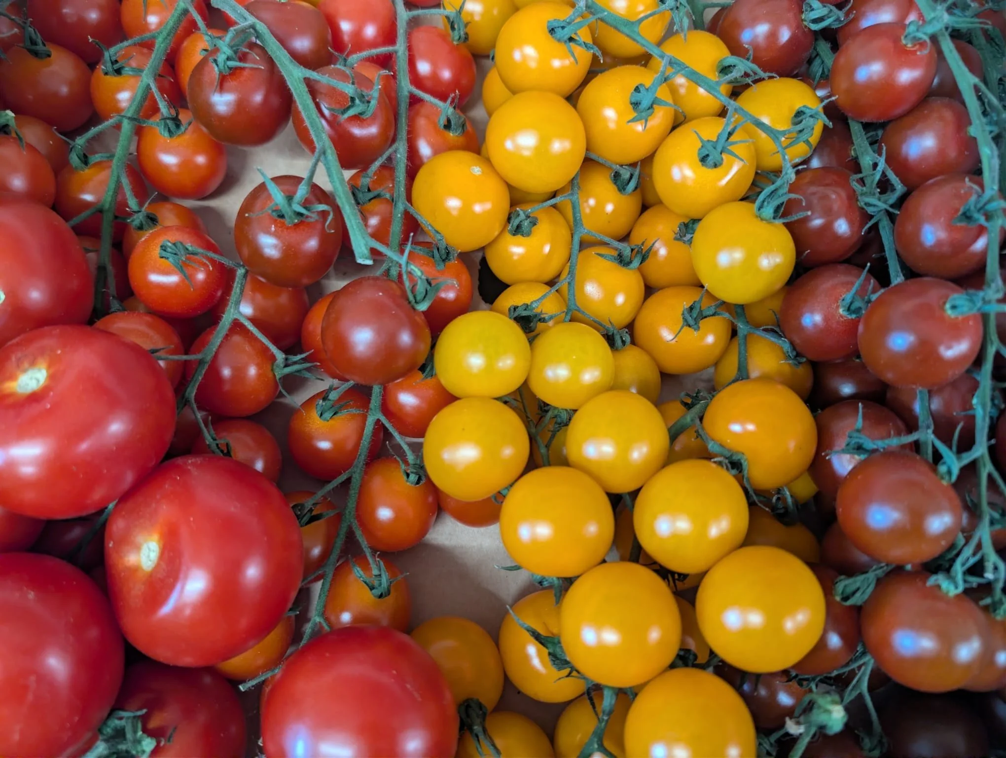 The Farm Shop is looking particularly colourful this week 🍅🌿🍓

Fresh asparagus, vibrant tomatoes, sweet strawberries, rhubarb and plenty more seasonal produce now filling the shelves at Hockey&rsquo;s Farm Shop in the New Forest.

Perfect for sala