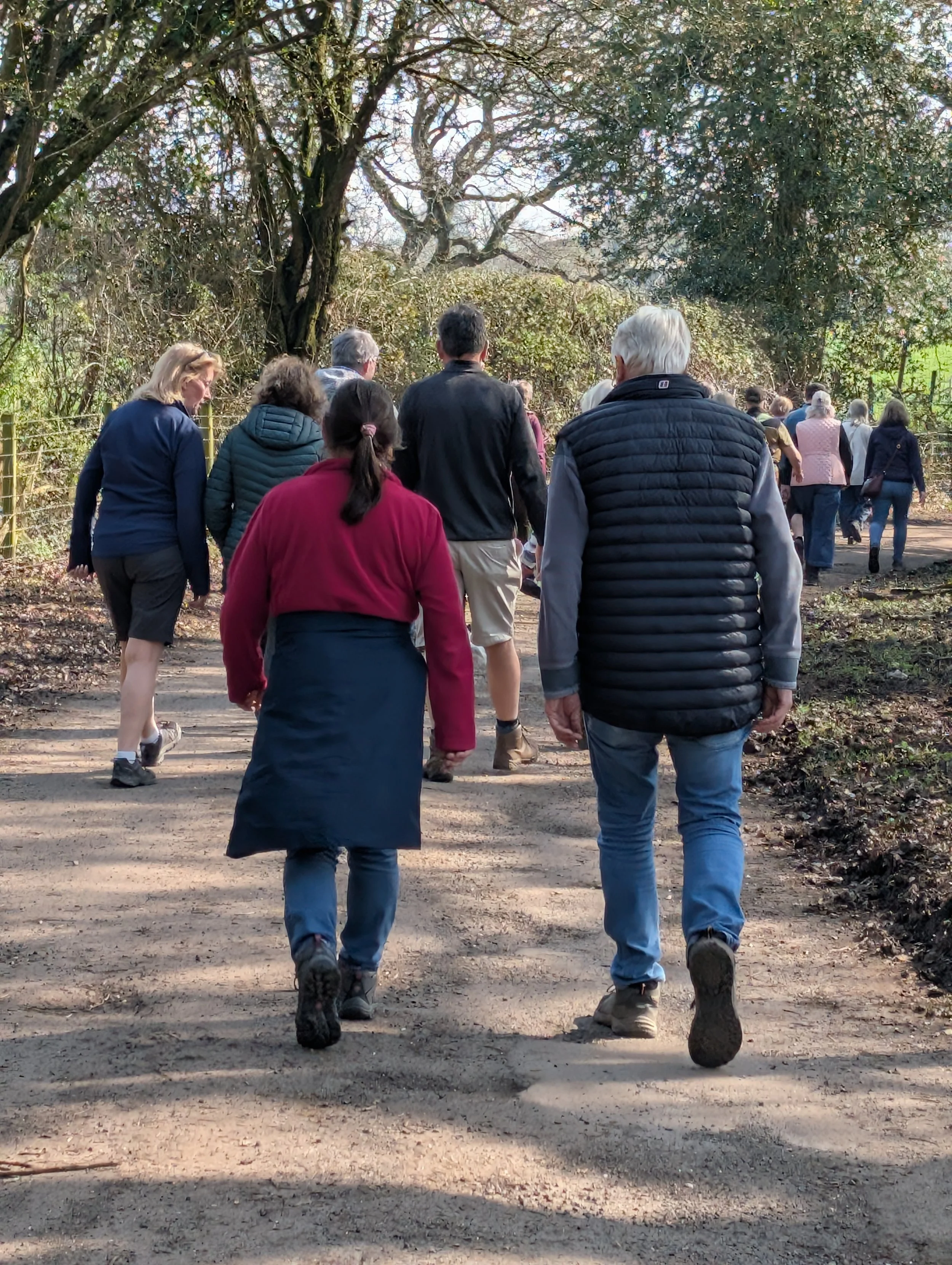 A Summer of Events, Food and New Forest Stories at Hockey's Farm Shop